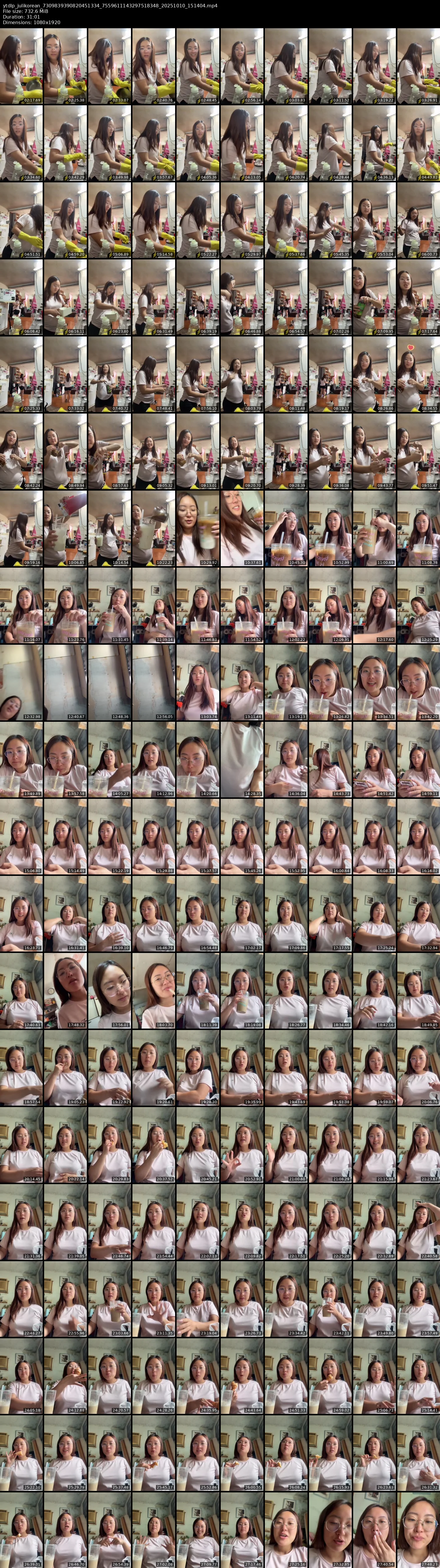 grid_ytdlp_julikorean_7309839390820451334_7559611143297518348_20251010_151404.mp4.webp