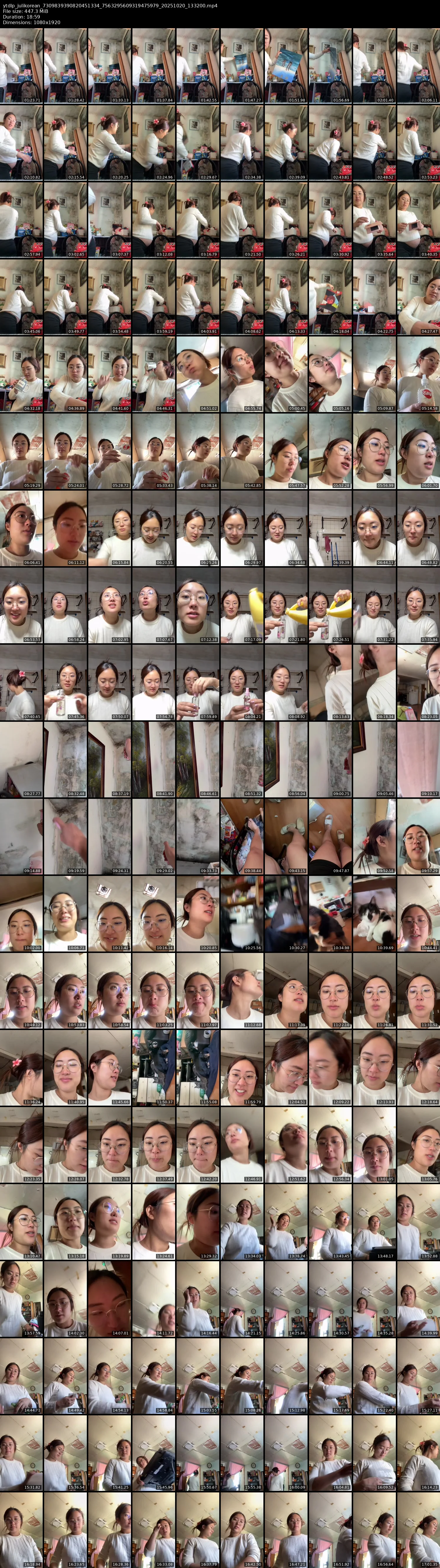 grid_ytdlp_julikorean_7309839390820451334_7563295609319475979_20251020_133200.mp4.webp