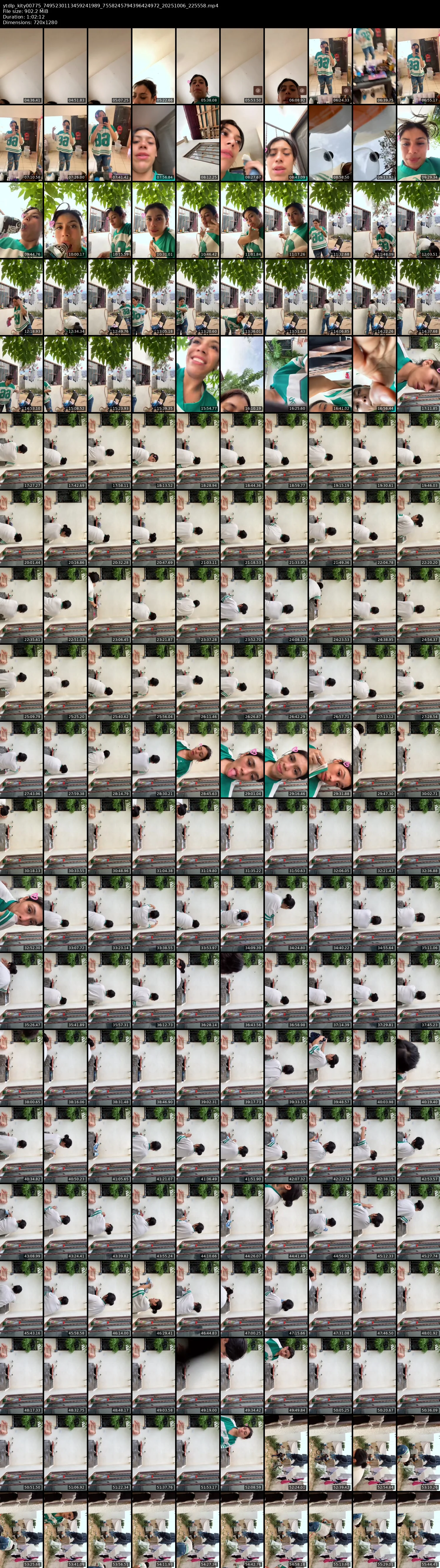 grid_ytdlp_kity00775_7495230113459241989_7558245794396424972_20251006_225558.mp4.webp