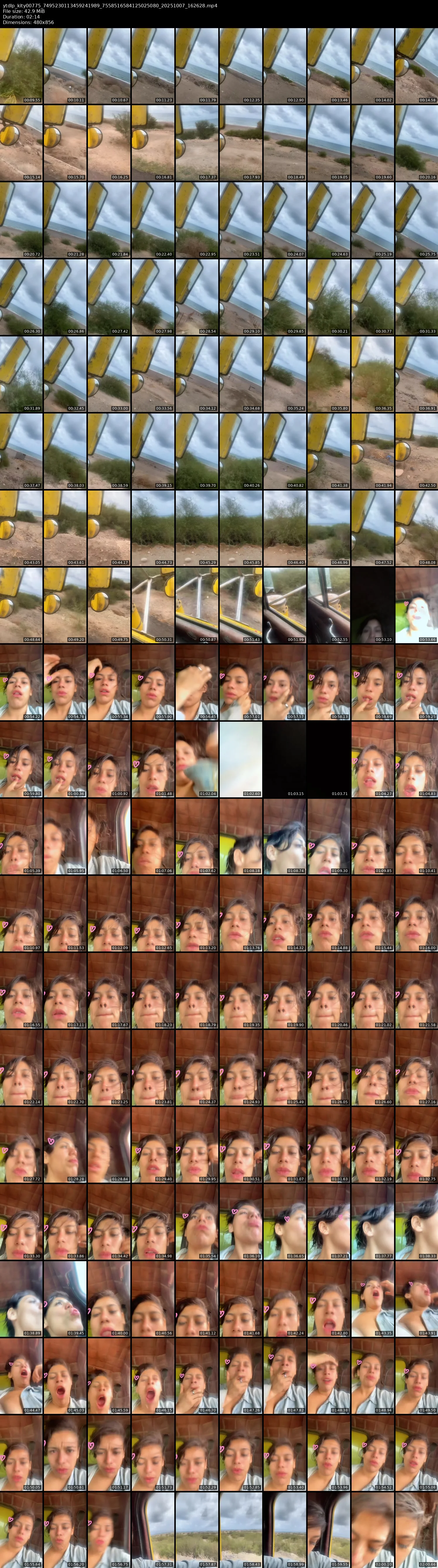 grid_ytdlp_kity00775_7495230113459241989_7558516584125025080_20251007_162628.mp4.webp