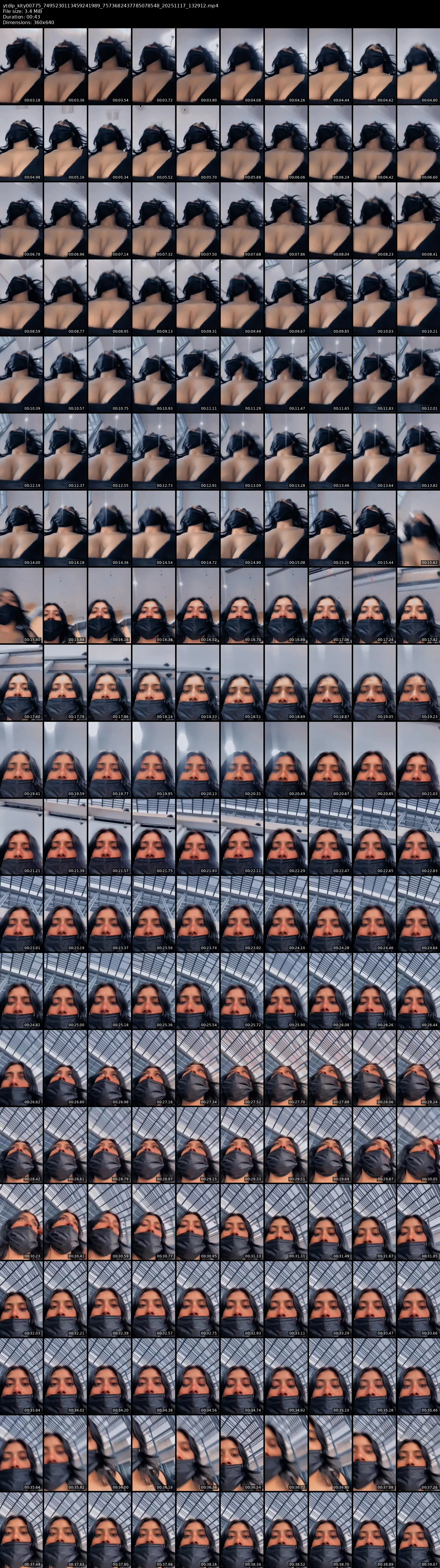 grid_ytdlp_kity00775_7495230113459241989_7573682437785078548_20251117_132912.mp4.webp