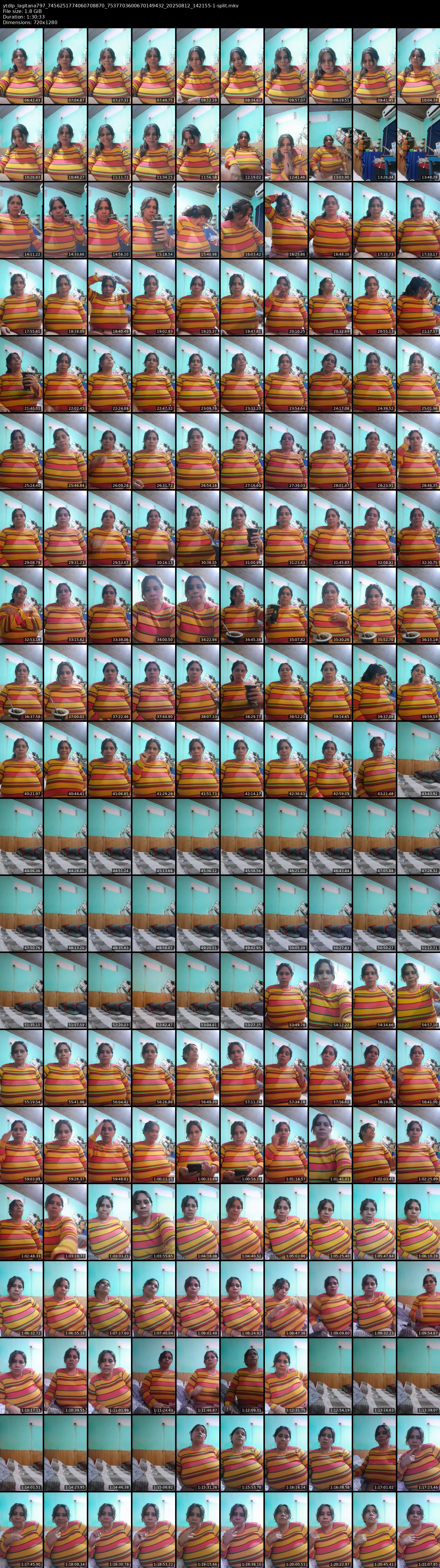 grid_ytdlp_lagitana797_7456251774060708870_7537703600670149432_20250812_142155-1-split.mkv.webp