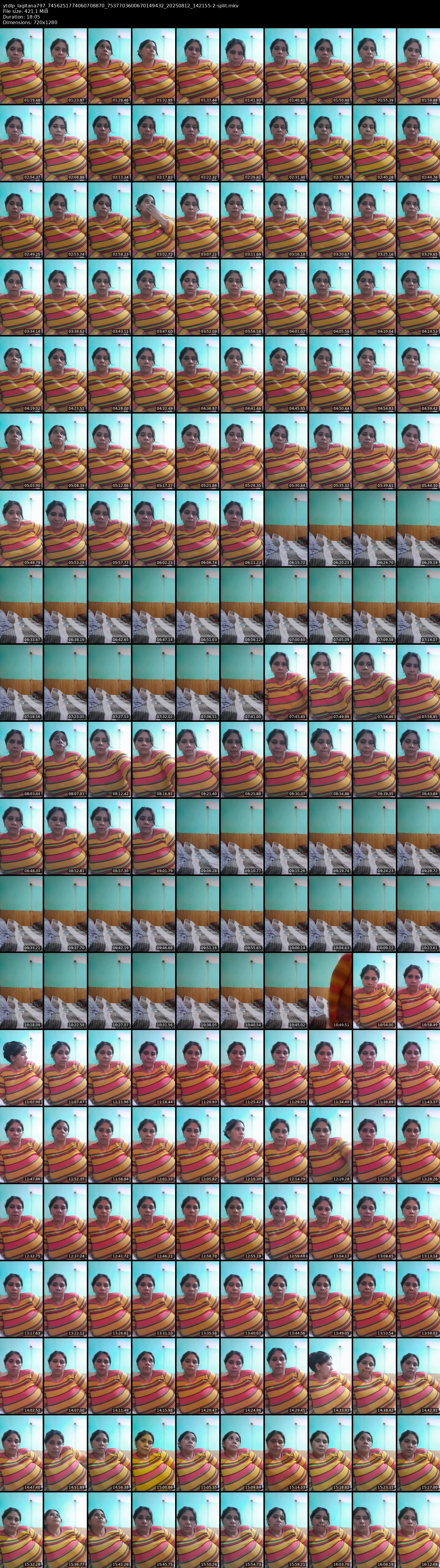 grid_ytdlp_lagitana797_7456251774060708870_7537703600670149432_20250812_142155-2-split.mkv.webp