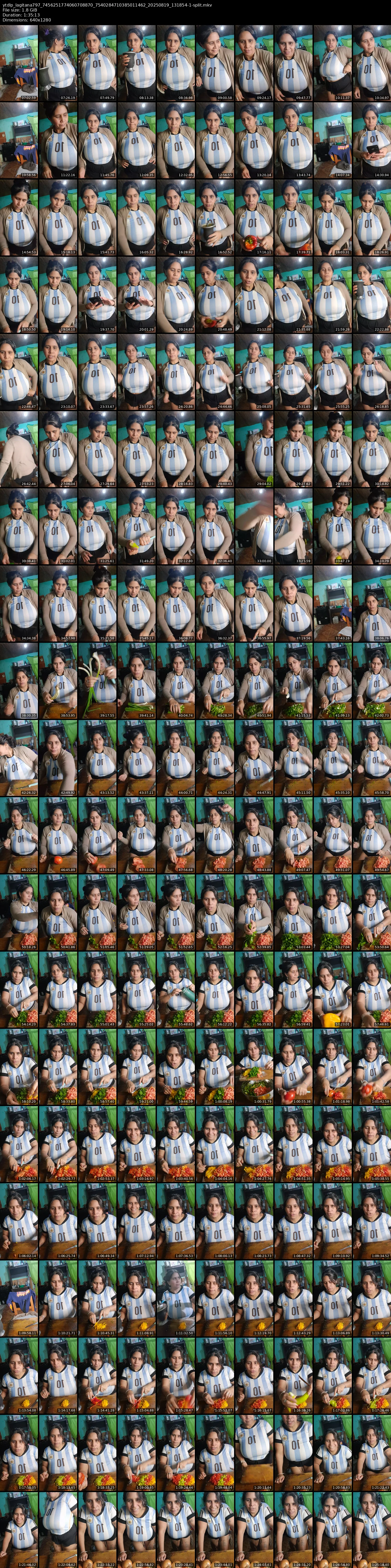grid_ytdlp_lagitana797_7456251774060708870_7540284710385011462_20250819_131854-1-split.mkv.webp
