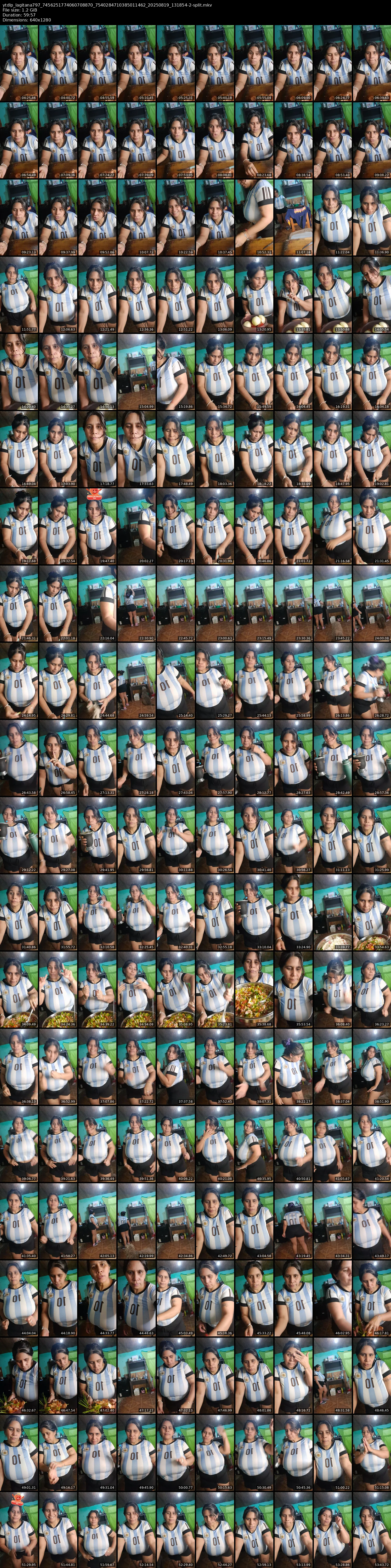 grid_ytdlp_lagitana797_7456251774060708870_7540284710385011462_20250819_131854-2-split.mkv.webp