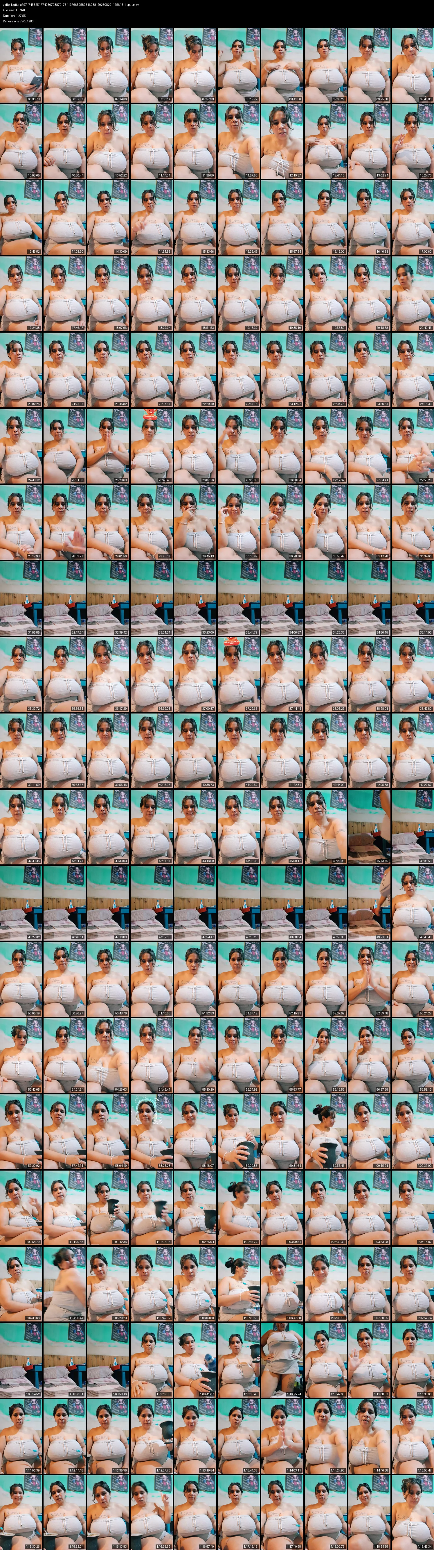 grid_ytdlp_lagitana797_7456251774060708870_7541376659589516038_20250822_115616-1-split.mkv.webp