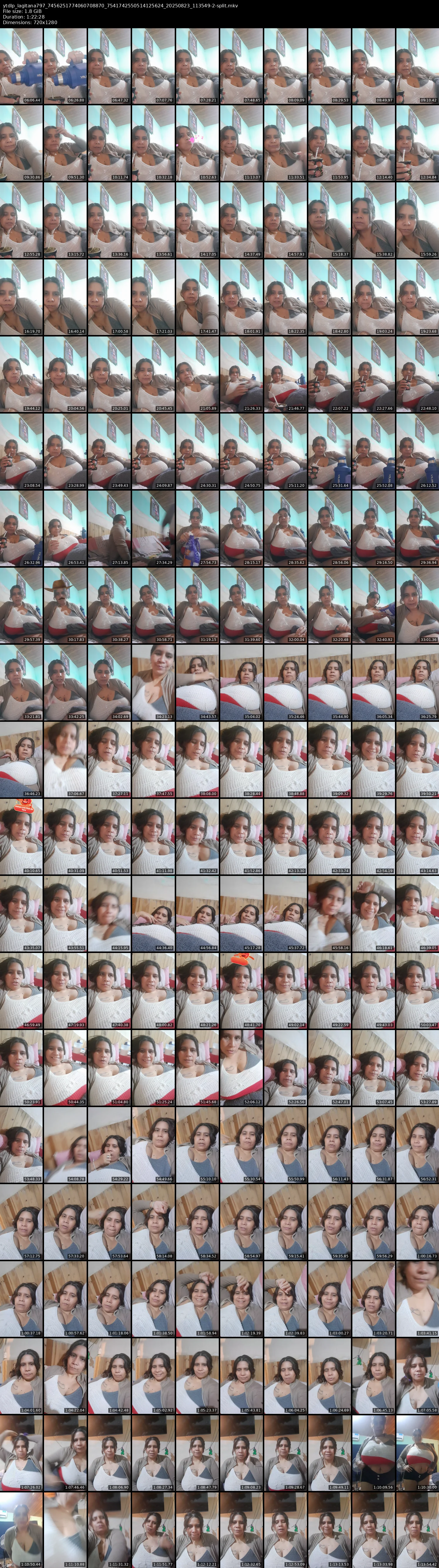 grid_ytdlp_lagitana797_7456251774060708870_7541742550514125624_20250823_113549-2-split.mkv.webp