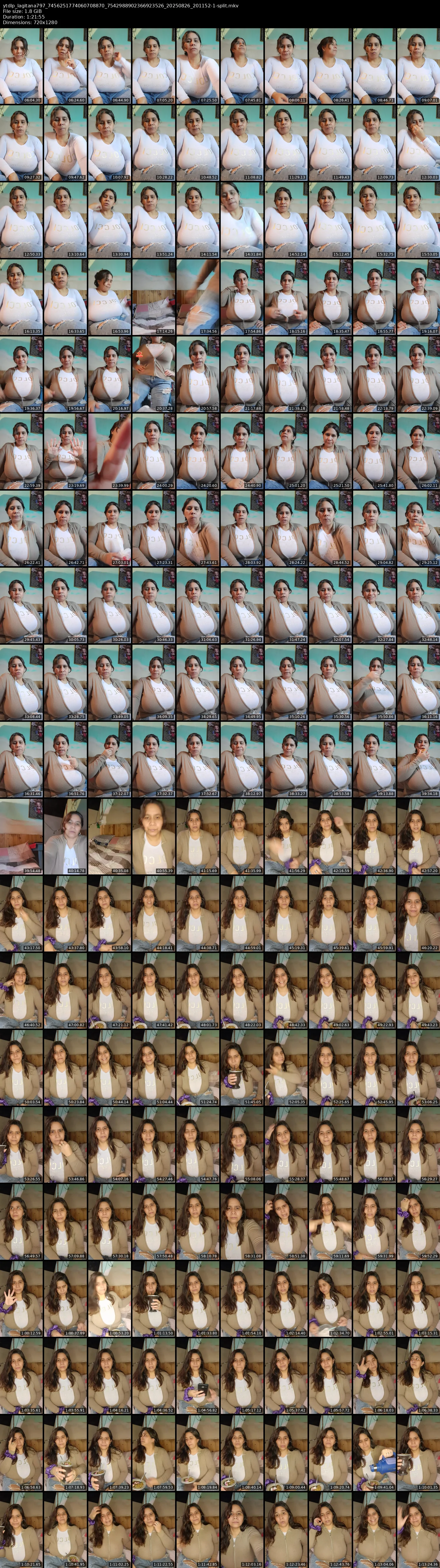 grid_ytdlp_lagitana797_7456251774060708870_7542988902366923526_20250826_201152-1-split.mkv.webp