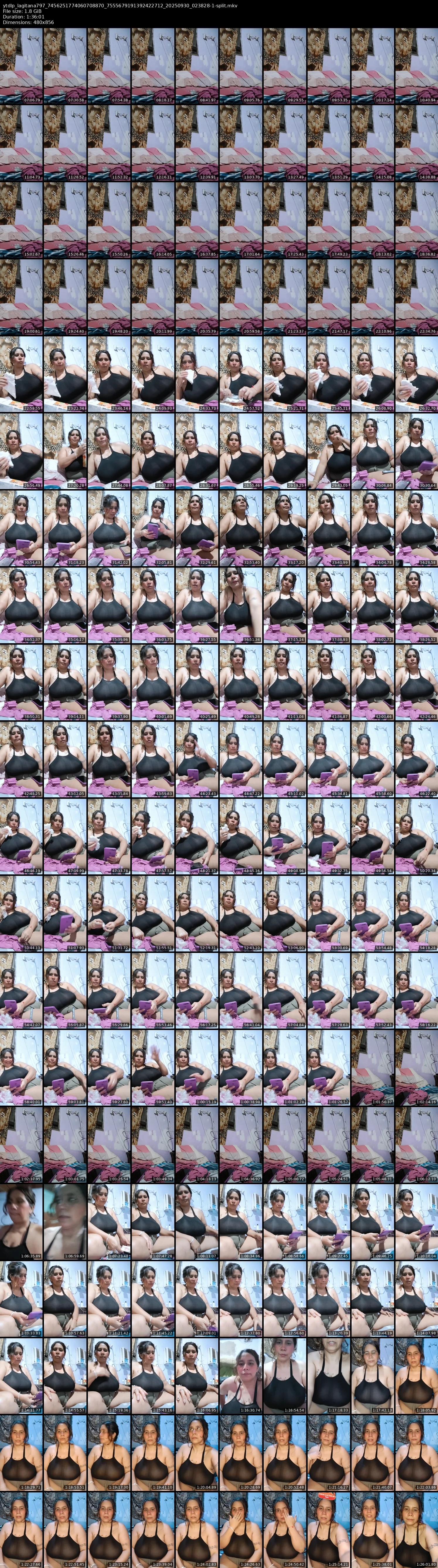 grid_ytdlp_lagitana797_7456251774060708870_7555679191392422712_20250930_023828-1-split.mkv.webp