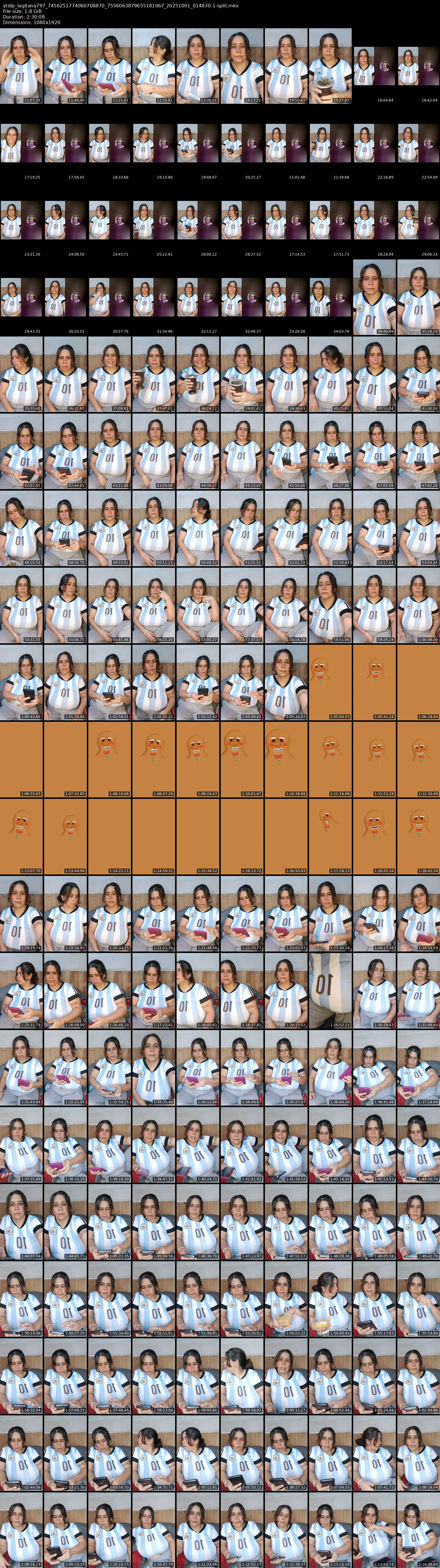 grid_ytdlp_lagitana797_7456251774060708870_7556063879655181067_20251001_014830-1-split.mkv.webp