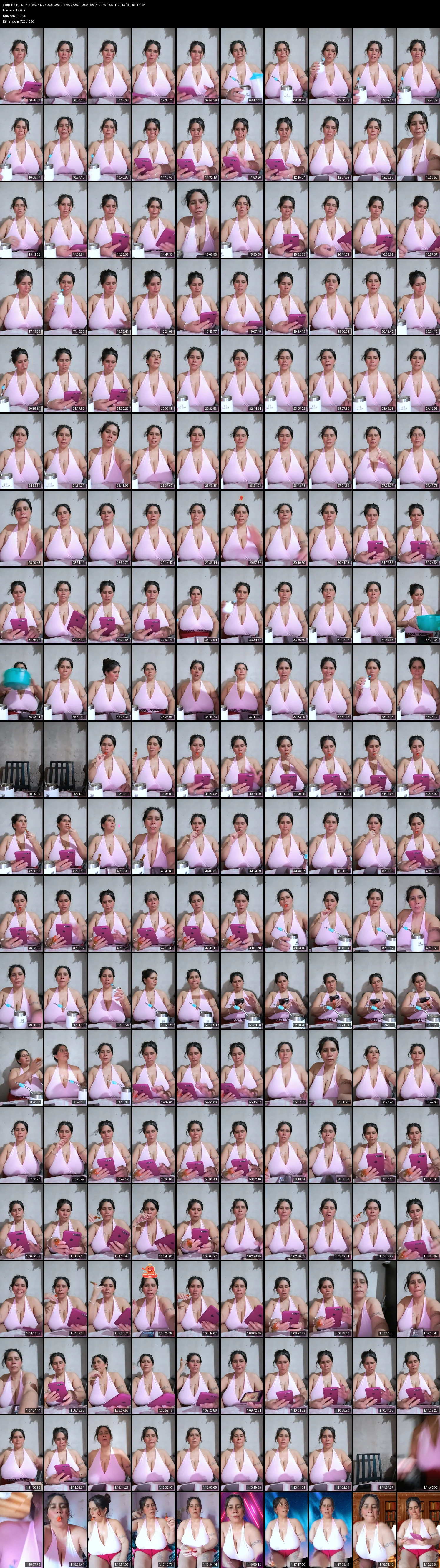 grid_ytdlp_lagitana797_7456251774060708870_7557783531003349816_20251005_170113.fix-1-split.mkv.webp