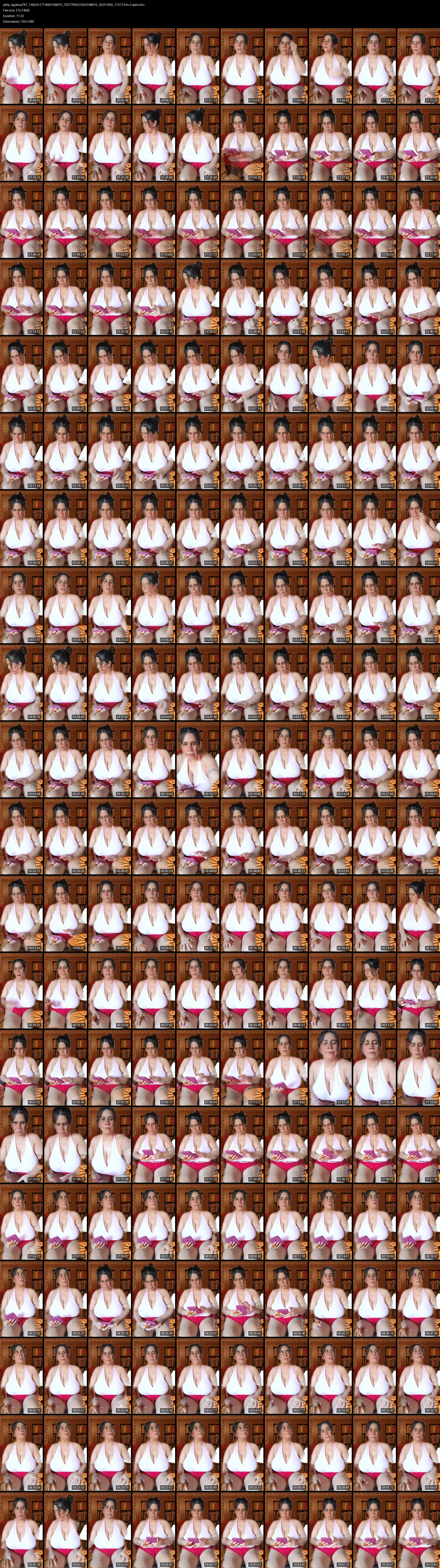 grid_ytdlp_lagitana797_7456251774060708870_7557783531003349816_20251005_170113.fix-2-split.mkv.webp