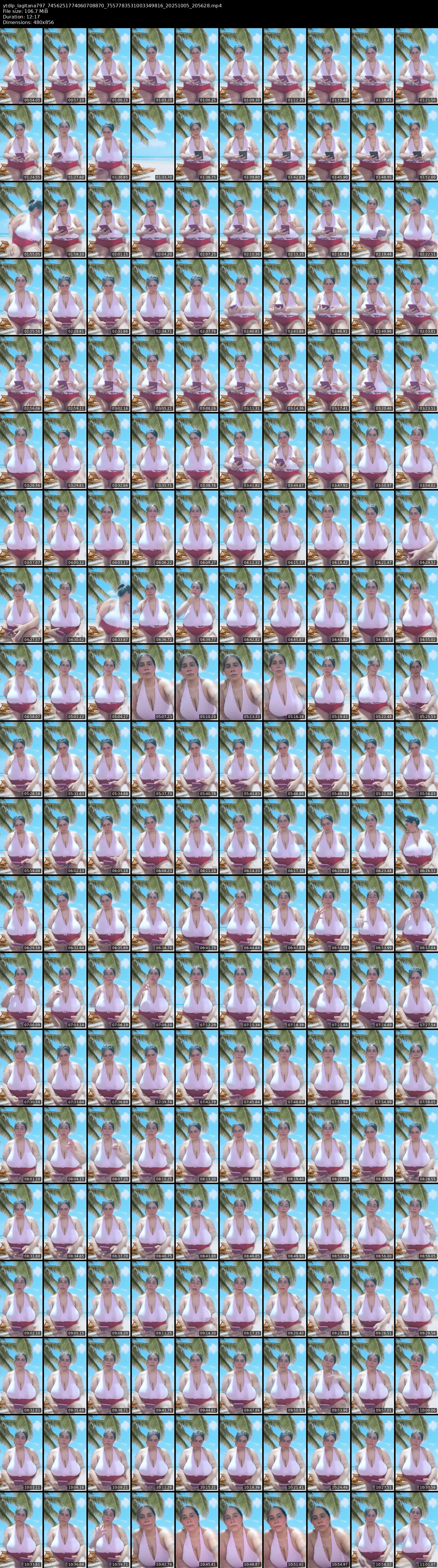 grid_ytdlp_lagitana797_7456251774060708870_7557783531003349816_20251005_205628.mp4.webp