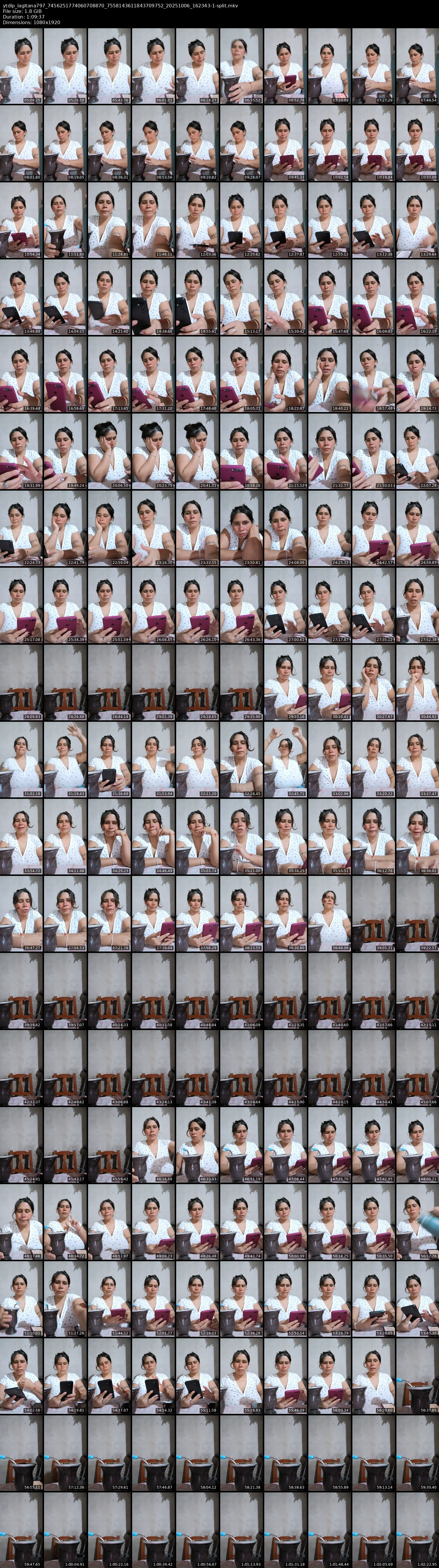 grid_ytdlp_lagitana797_7456251774060708870_7558143611843709752_20251006_162343-1-split.mkv.webp