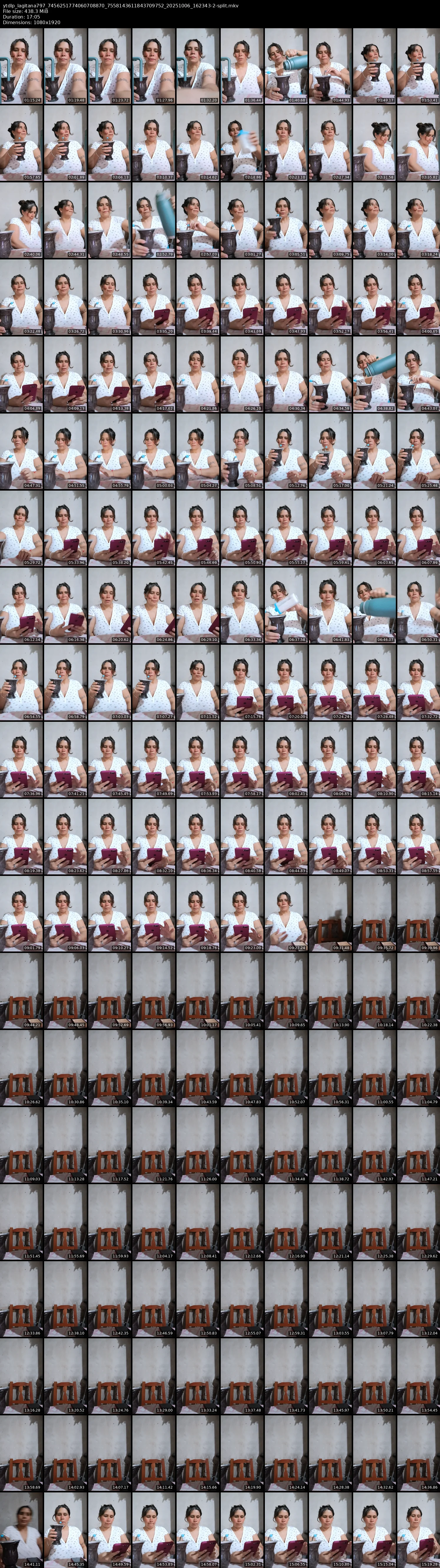 grid_ytdlp_lagitana797_7456251774060708870_7558143611843709752_20251006_162343-2-split.mkv.webp