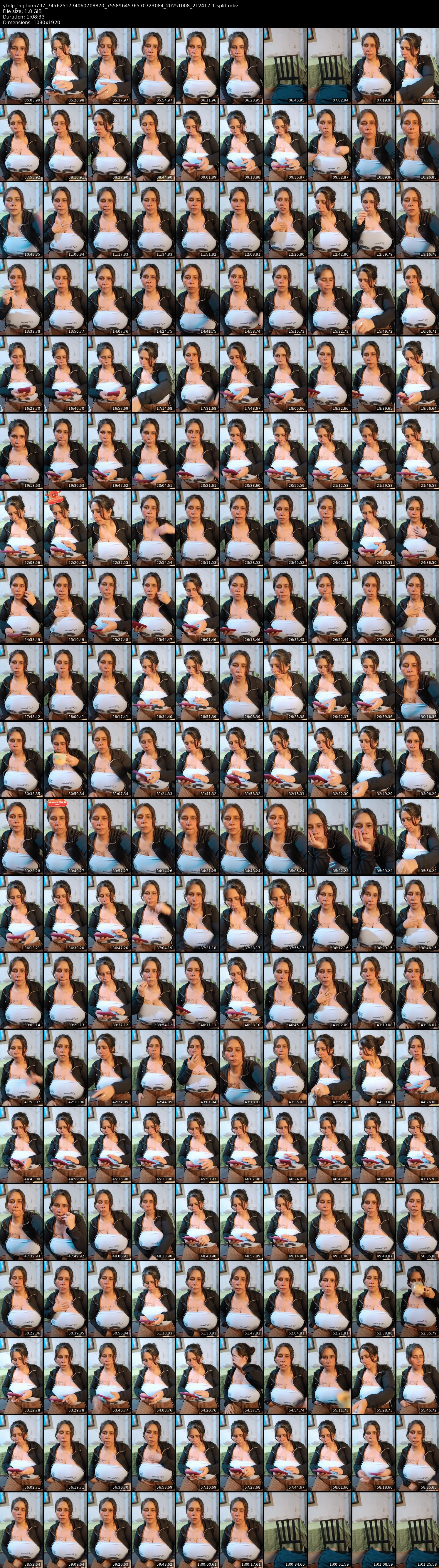 grid_ytdlp_lagitana797_7456251774060708870_7558964576570723084_20251008_212417-1-split.mkv.webp