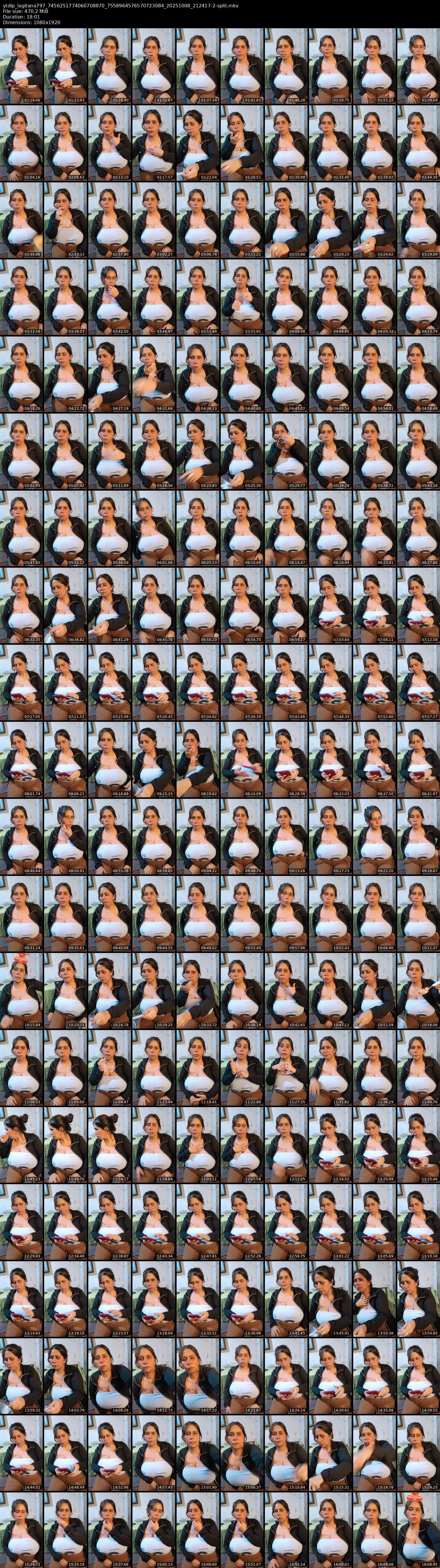 grid_ytdlp_lagitana797_7456251774060708870_7558964576570723084_20251008_212417-2-split.mkv.webp