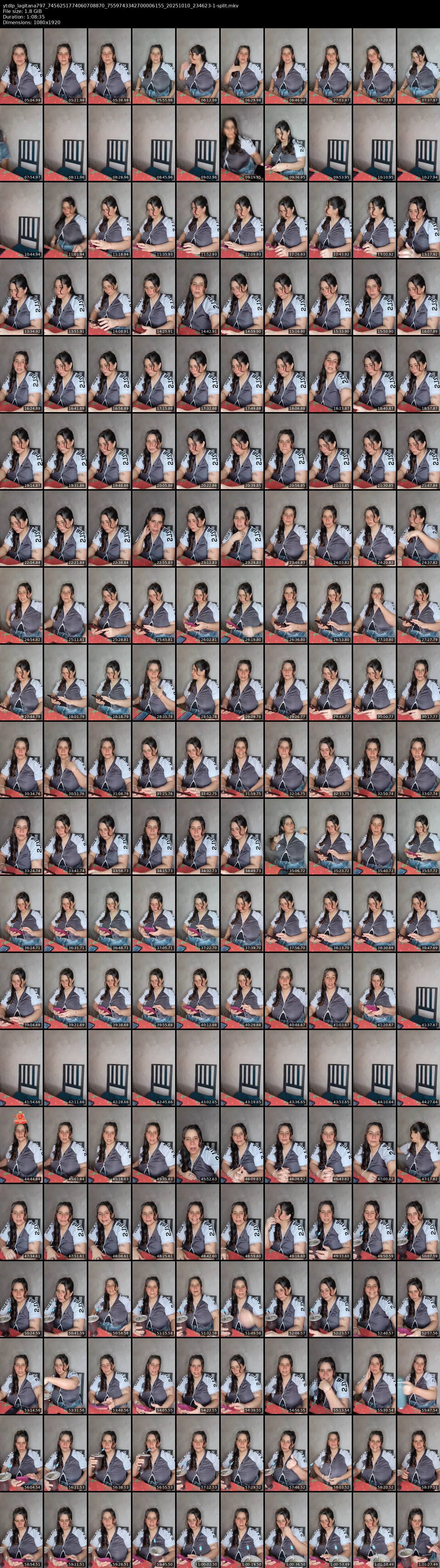 grid_ytdlp_lagitana797_7456251774060708870_7559743342700006155_20251010_234623-1-split.mkv.webp