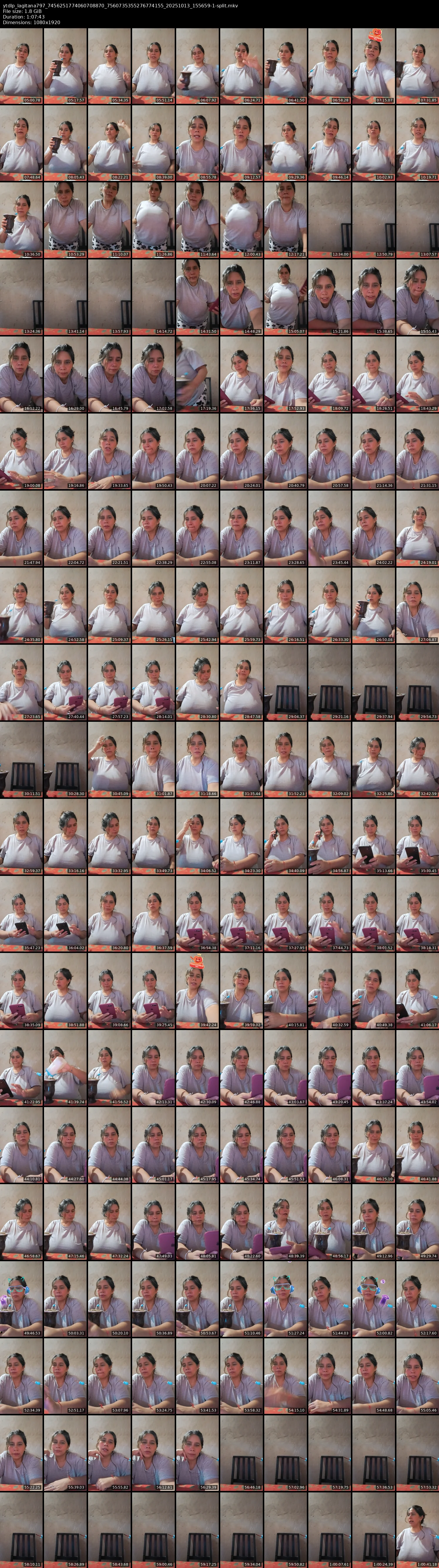 grid_ytdlp_lagitana797_7456251774060708870_7560735355276774155_20251013_155659-1-split.mkv.webp