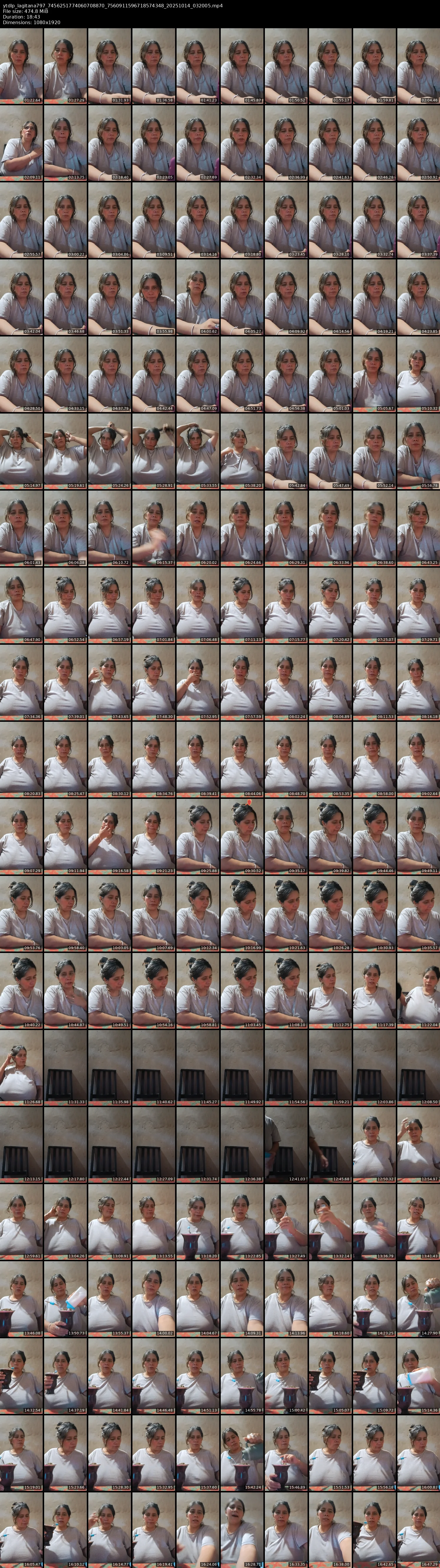 grid_ytdlp_lagitana797_7456251774060708870_7560911596718574348_20251014_032005.mp4.webp