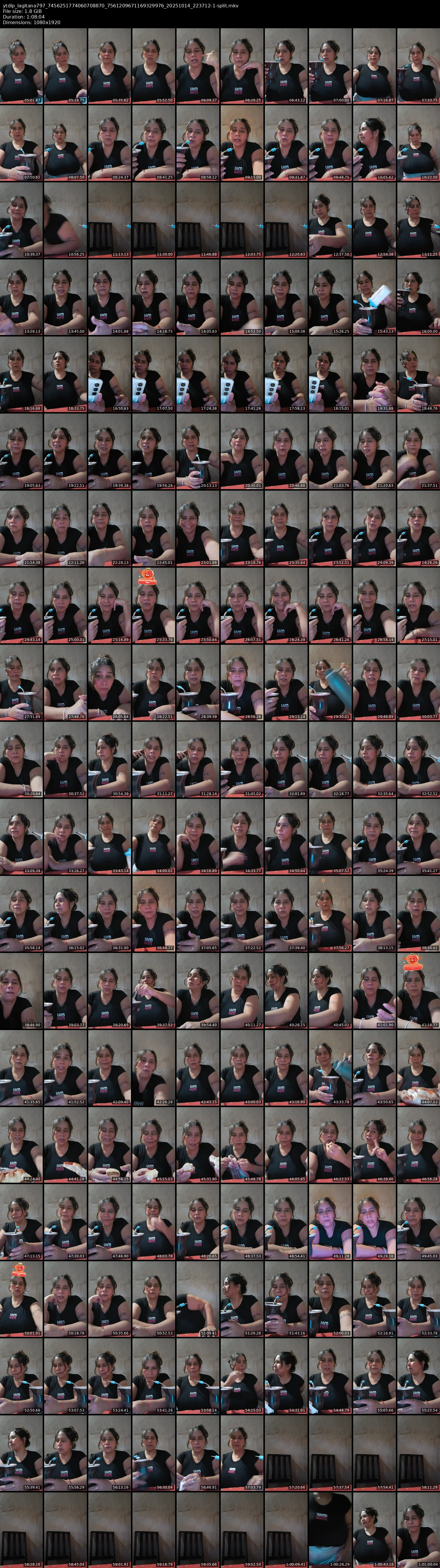 grid_ytdlp_lagitana797_7456251774060708870_7561209671169329976_20251014_223712-1-split.mkv.webp