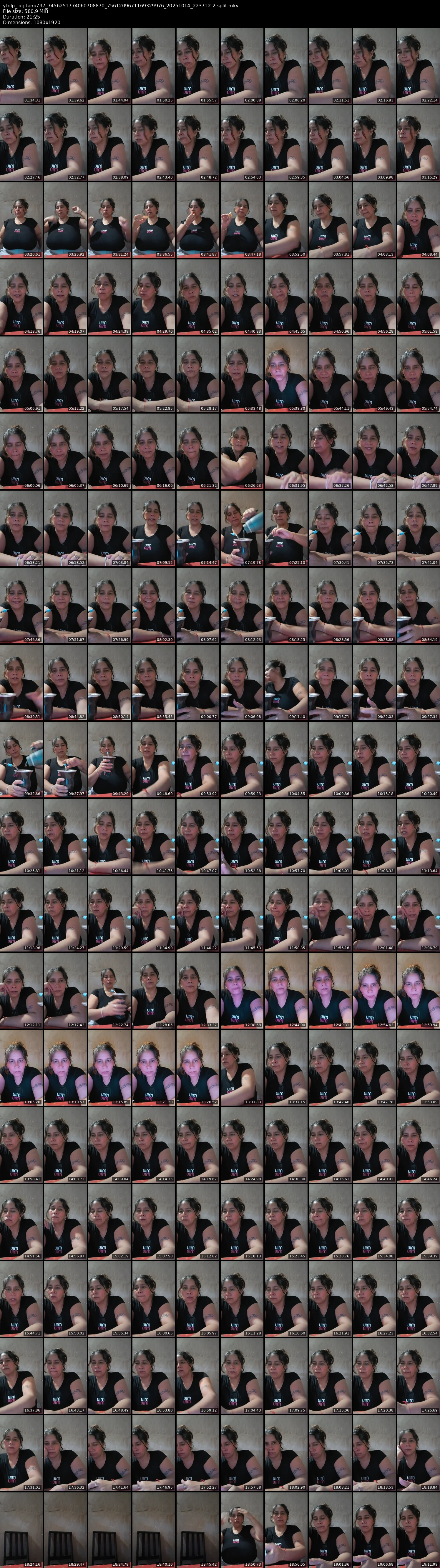 grid_ytdlp_lagitana797_7456251774060708870_7561209671169329976_20251014_223712-2-split.mkv.webp