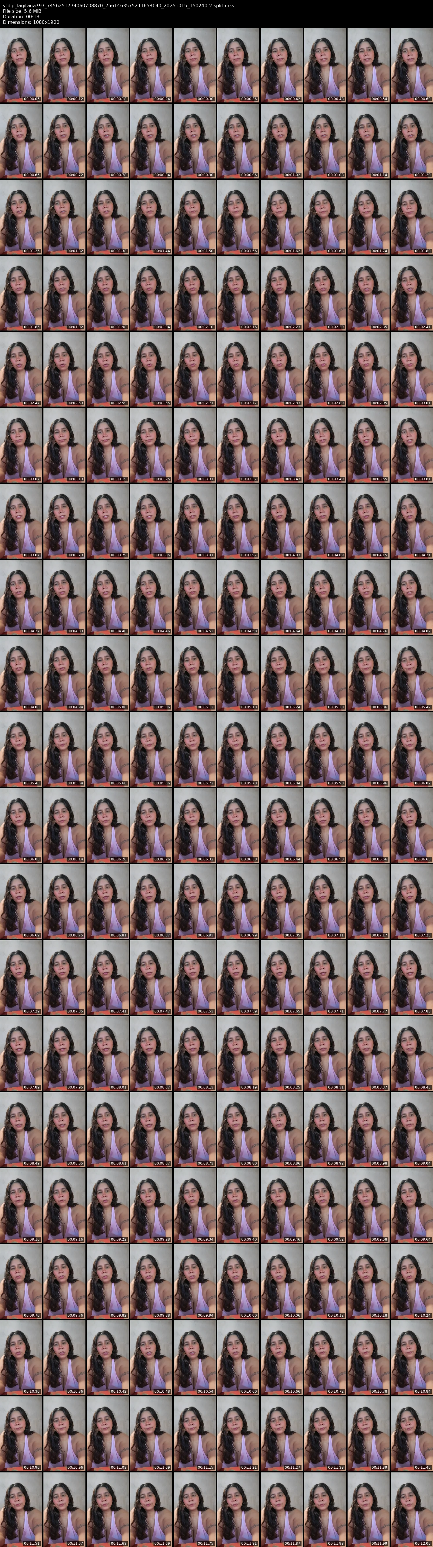 grid_ytdlp_lagitana797_7456251774060708870_7561463575211658040_20251015_150240-2-split.mkv.webp