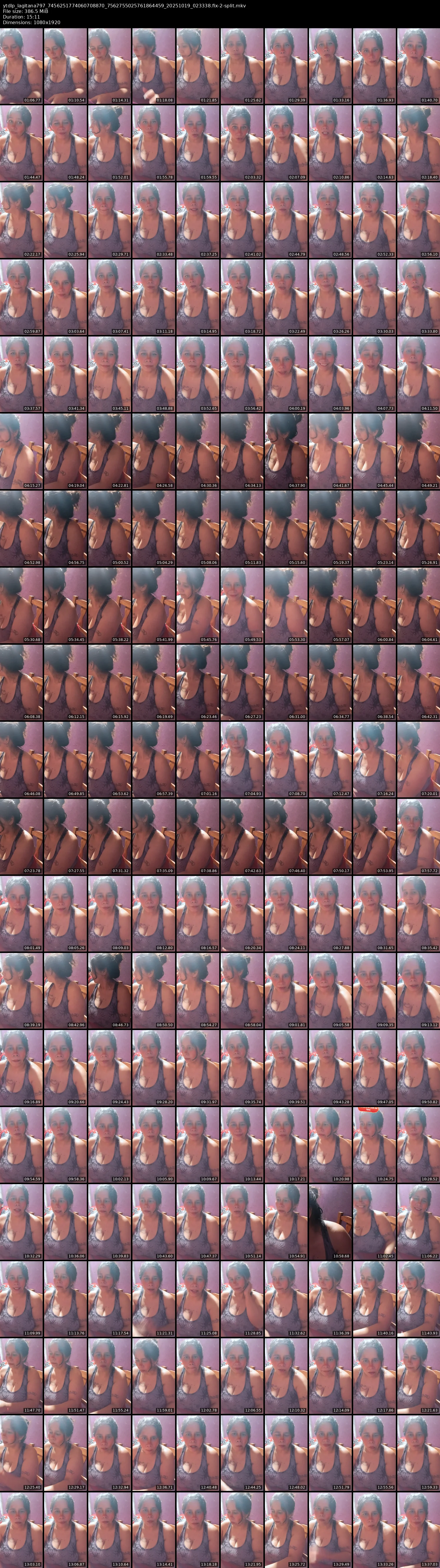 grid_ytdlp_lagitana797_7456251774060708870_7562755025761864459_20251019_023338.fix-2-split.mkv.webp