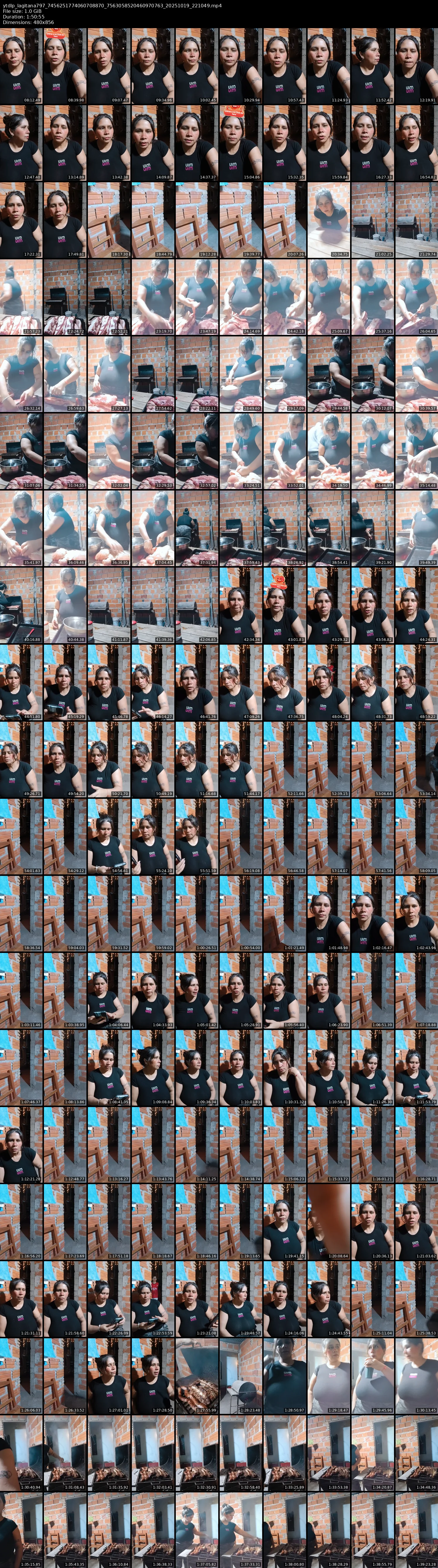 grid_ytdlp_lagitana797_7456251774060708870_7563058520460970763_20251019_221049.mp4.webp