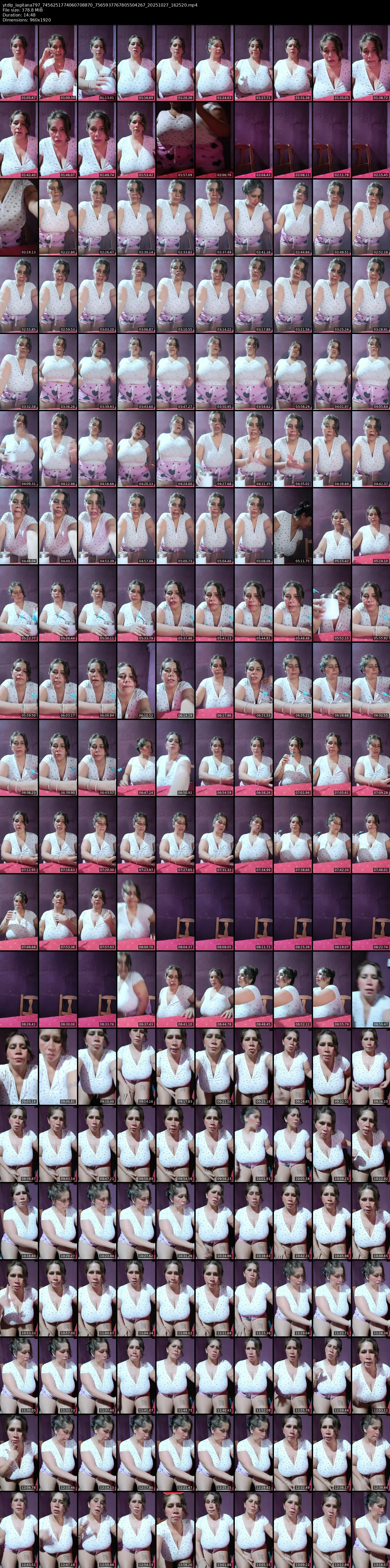 grid_ytdlp_lagitana797_7456251774060708870_7565937767805504267_20251027_162520.mp4.webp