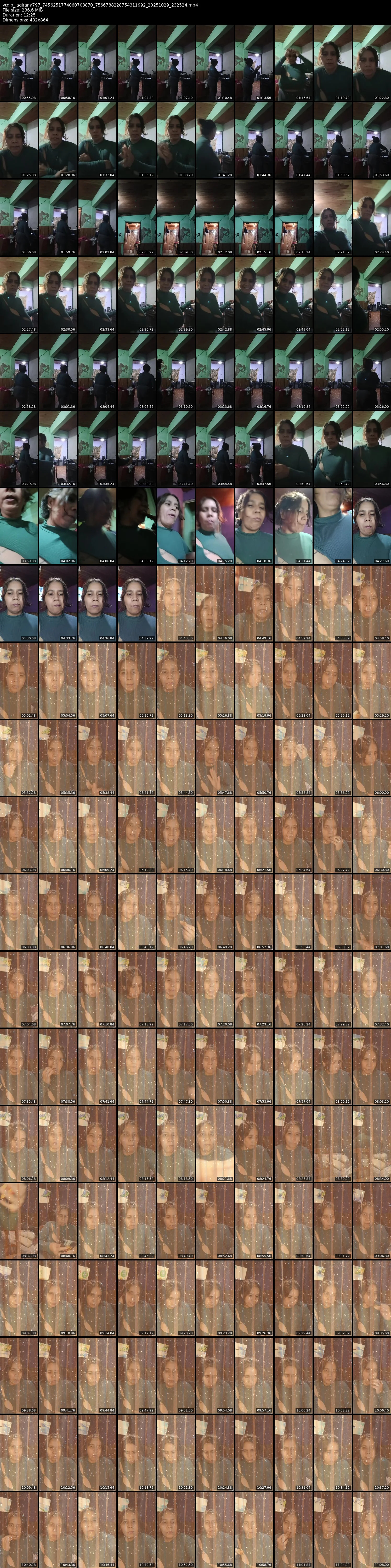grid_ytdlp_lagitana797_7456251774060708870_7566788228754311992_20251029_232524.mp4.webp