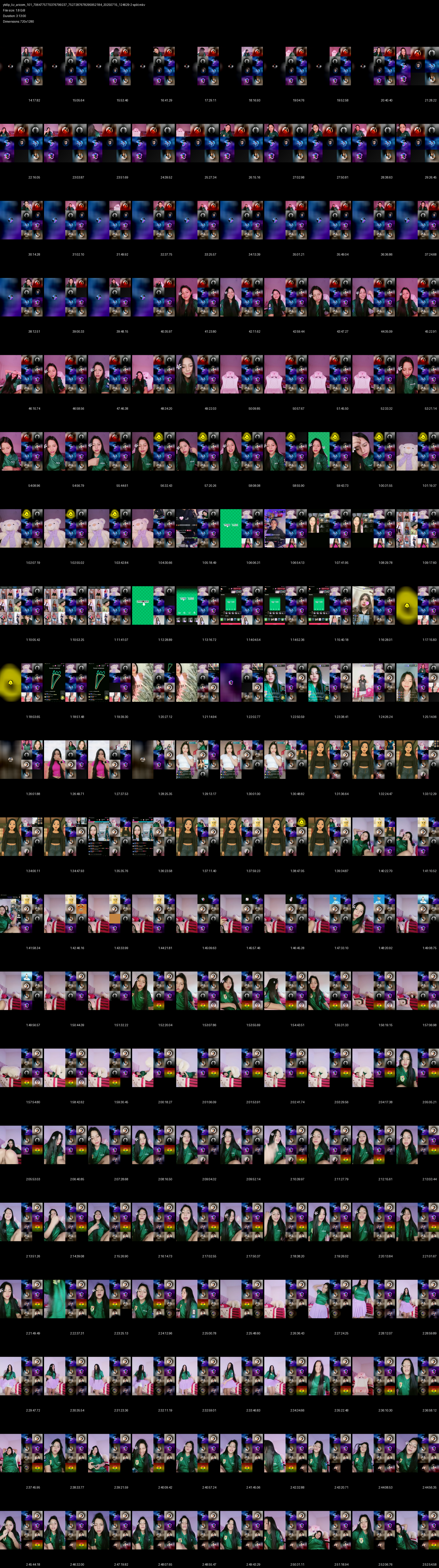 grid_ytdlp_liz_aricom_101_7064775770376799237_7527287678295952184_20250715_124629-2-split.mkv.png