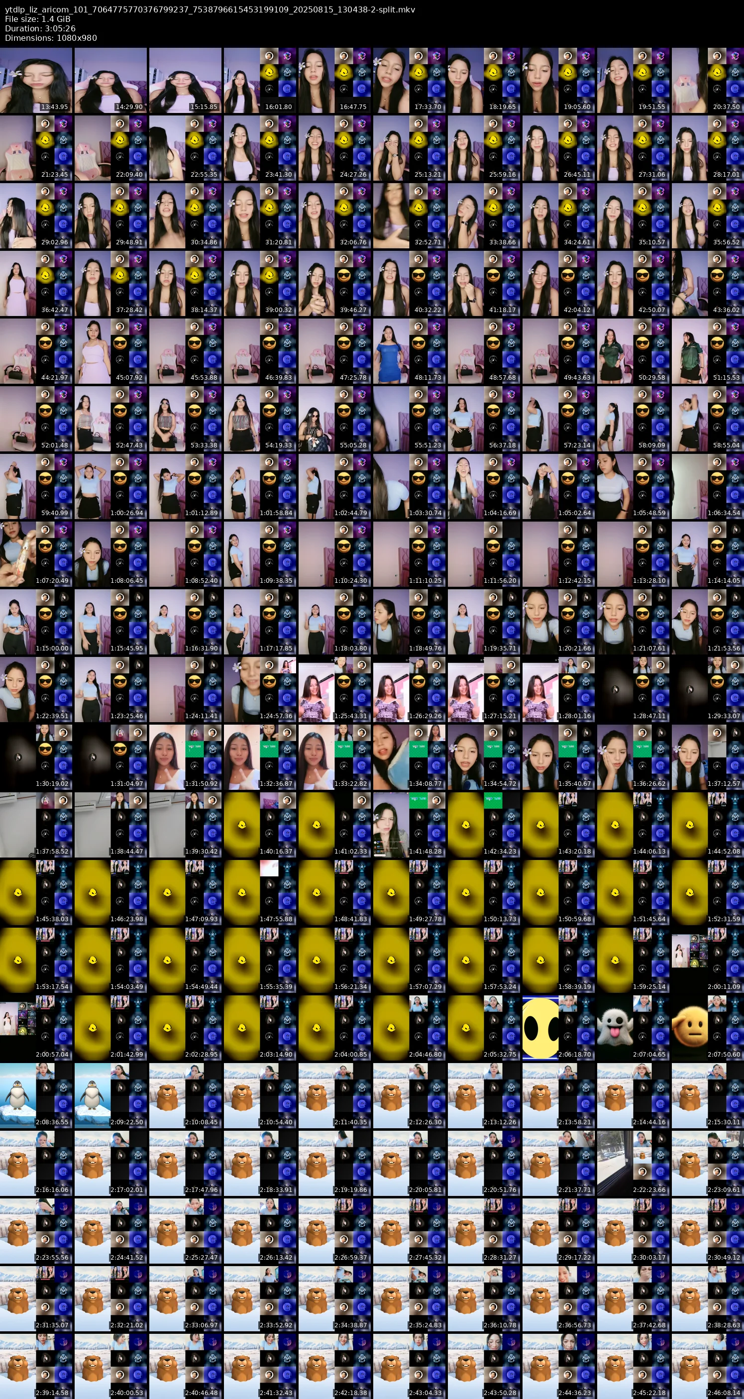 grid_ytdlp_liz_aricom_101_7064775770376799237_7538796615453199109_20250815_130438-2-split.mkv.webp