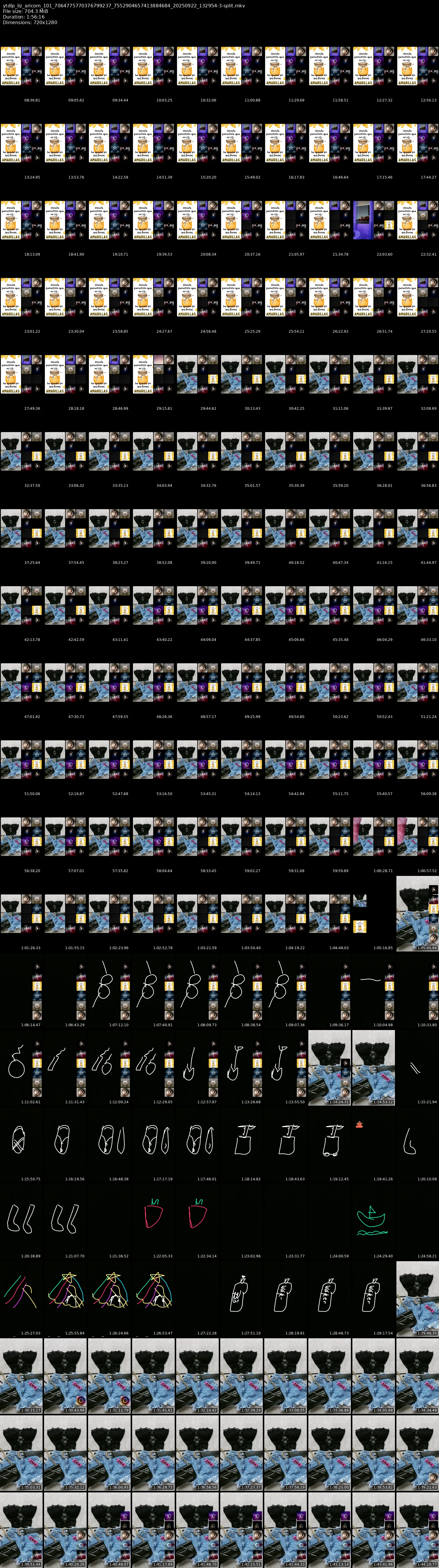grid_ytdlp_liz_aricom_101_7064775770376799237_7552904657413884684_20250922_132954-3-split.mkv.webp