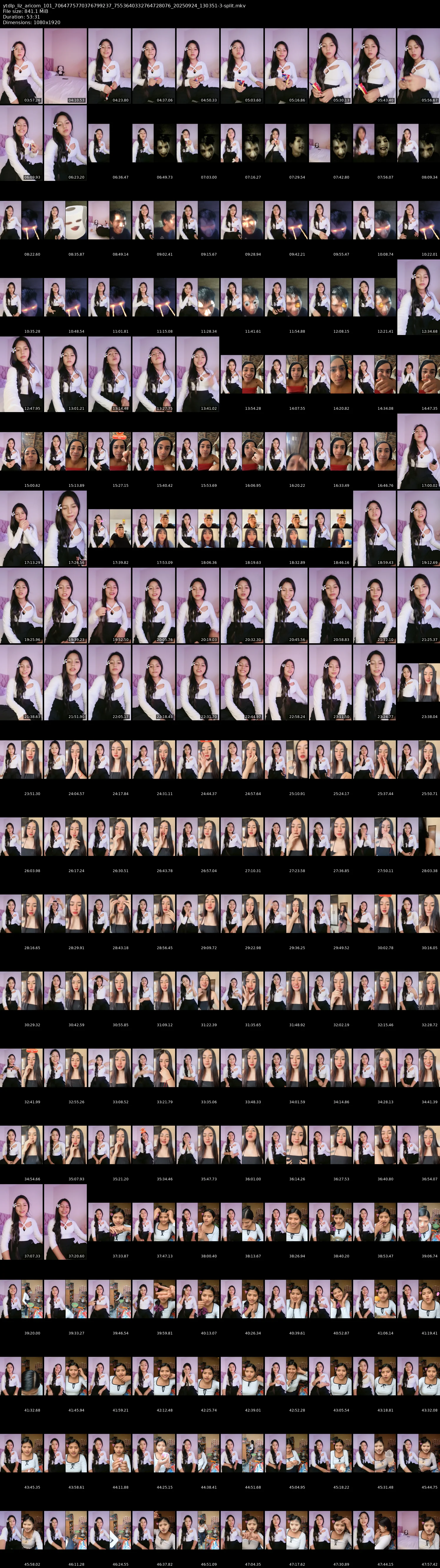 grid_ytdlp_liz_aricom_101_7064775770376799237_7553640332764728076_20250924_130351-3-split.mkv.webp