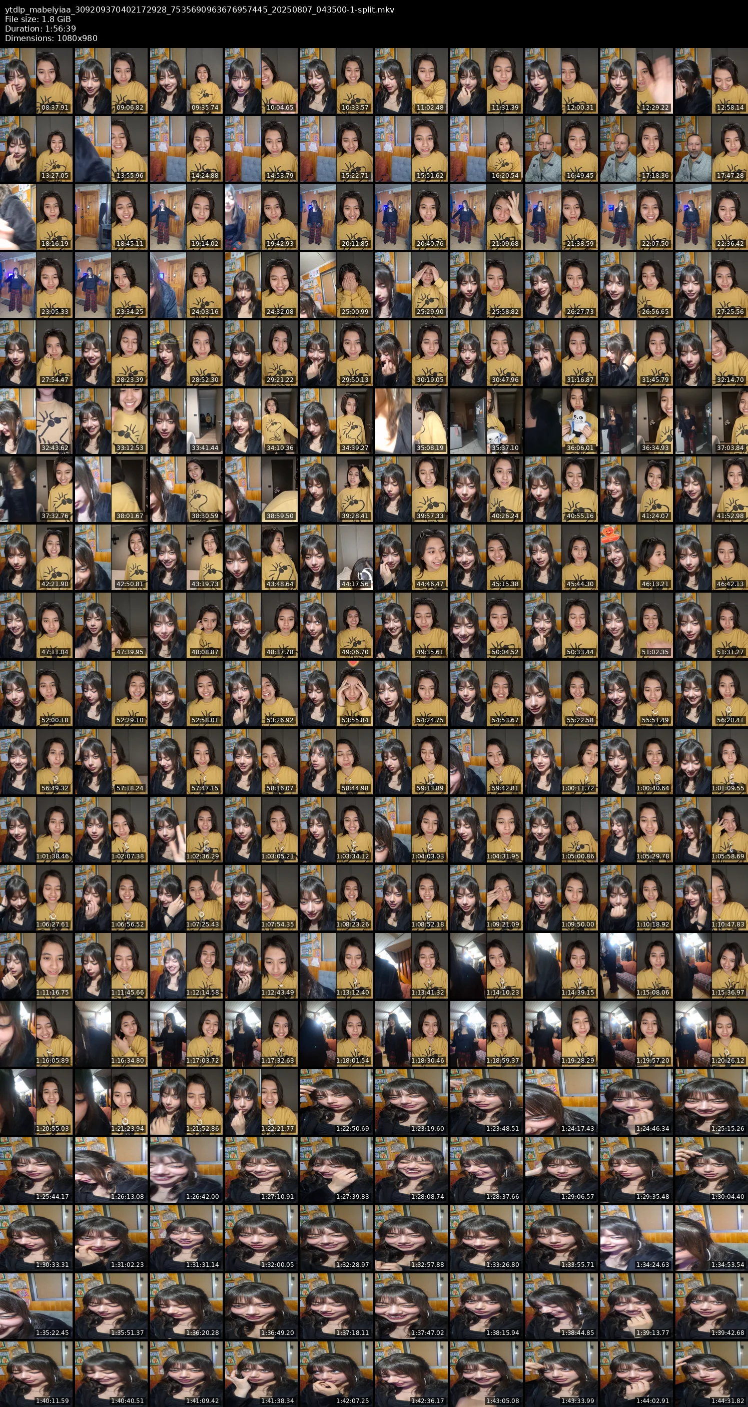 grid_ytdlp_mabelyiaa_309209370402172928_7535690963676957445_20250807_043500-1-split.mkv.webp