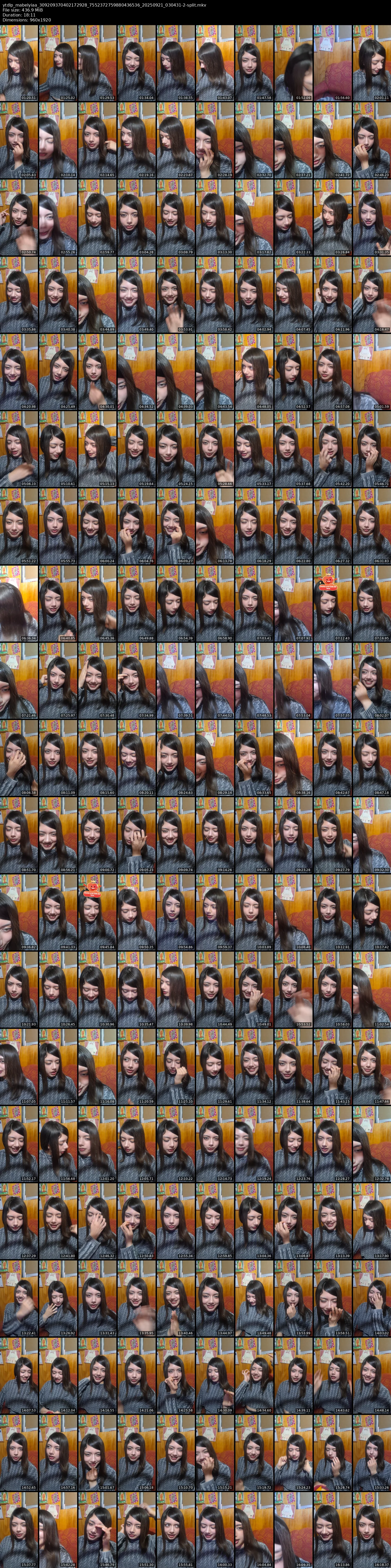 grid_ytdlp_mabelyiaa_309209370402172928_7552372759880436536_20250921_030431-2-split.mkv.webp