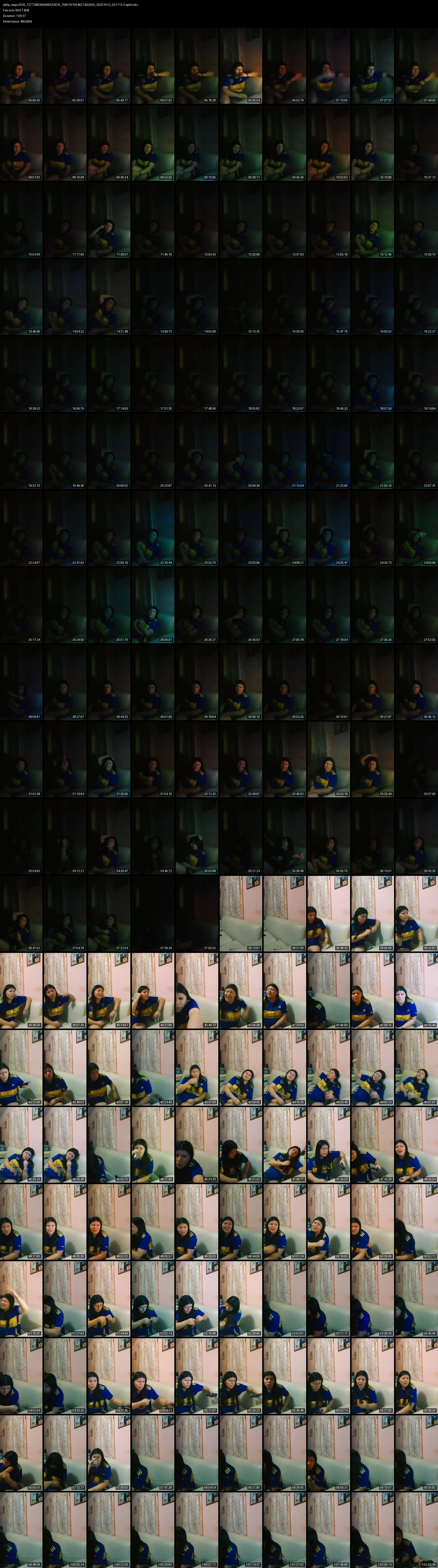 grid_ytdlp_majo.2029_7277286306098332678_7560167054621363000_20251012_031113-2-split.mkv.webp