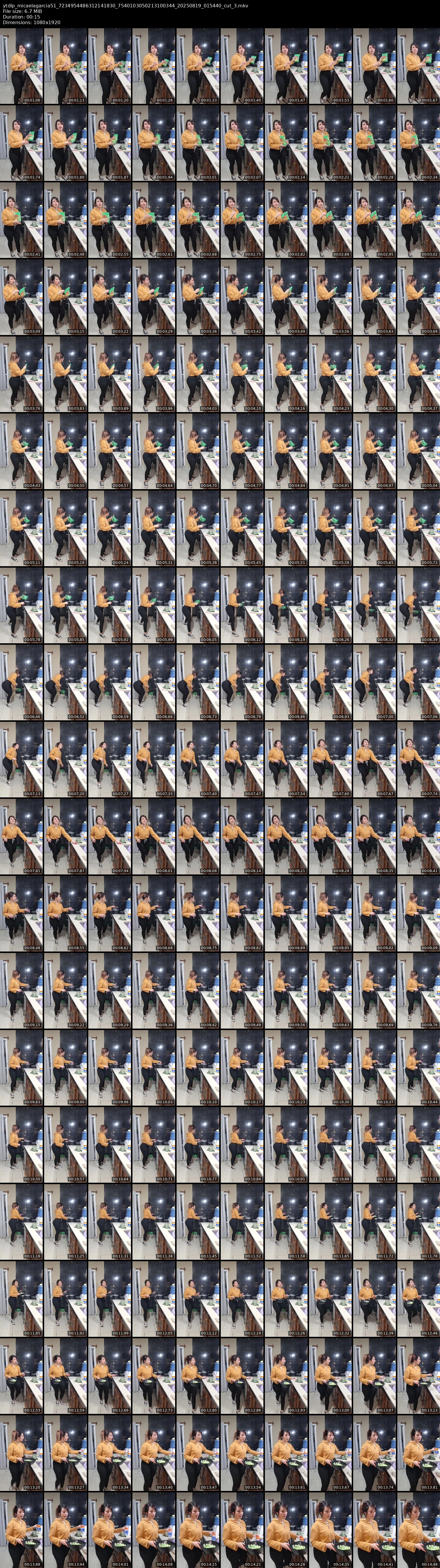 grid_ytdlp_micaelagarcia51_7234954486312141830_7540103050213100344_20250819_015440_cut_3.mkv.webp