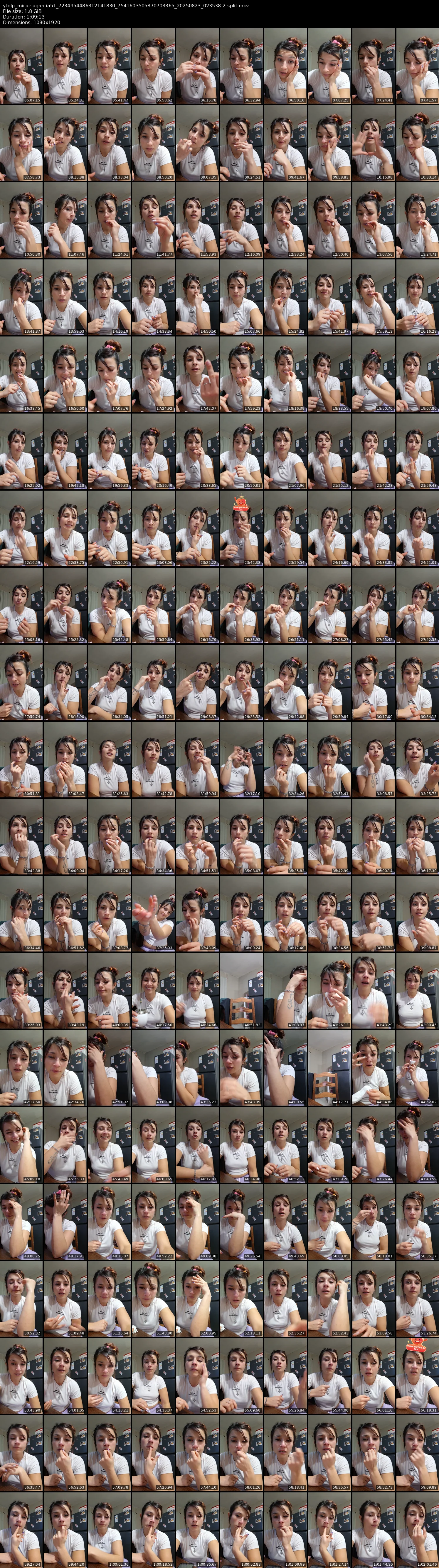 grid_ytdlp_micaelagarcia51_7234954486312141830_7541603505870703365_20250823_023538-2-split.mkv.webp