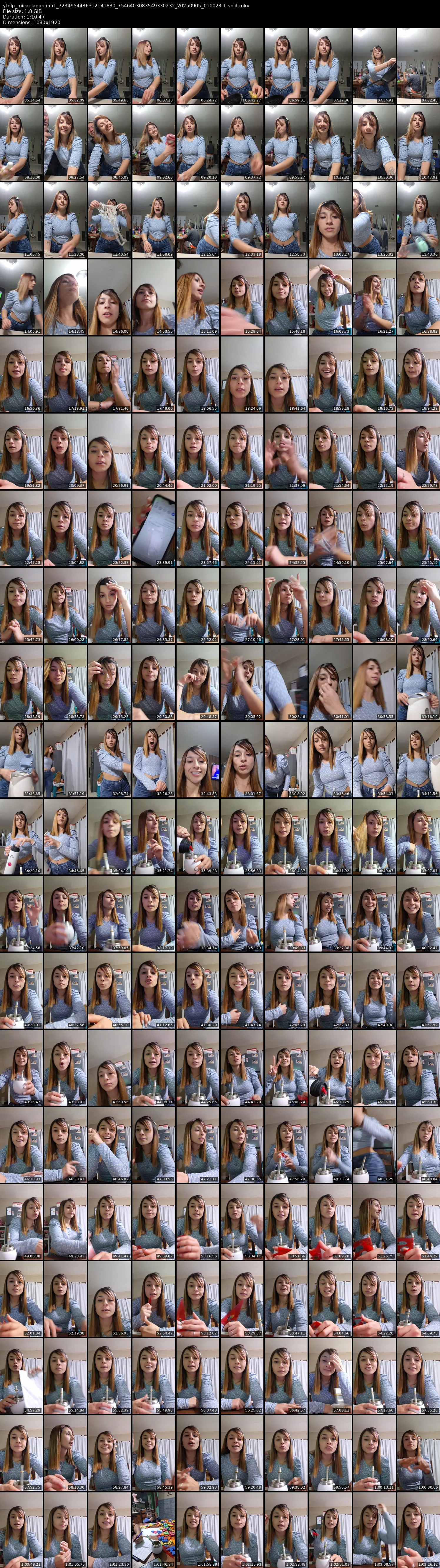 grid_ytdlp_micaelagarcia51_7234954486312141830_7546403083549330232_20250905_010023-1-split.mkv.webp