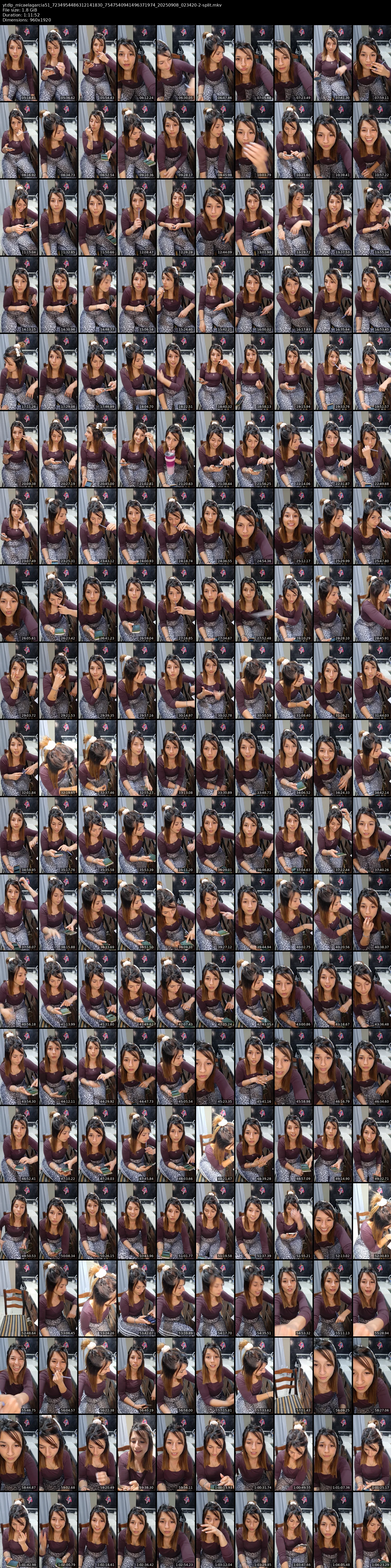 grid_ytdlp_micaelagarcia51_7234954486312141830_7547540941496371974_20250908_023420-2-split.mkv.webp