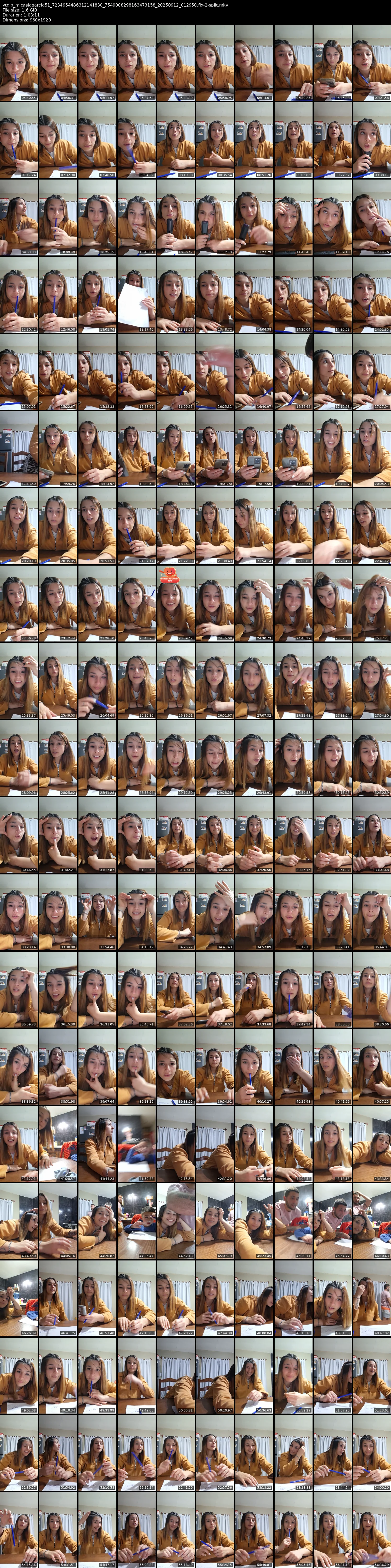 grid_ytdlp_micaelagarcia51_7234954486312141830_7549008298163473158_20250912_012950.fix-2-split.mkv.webp