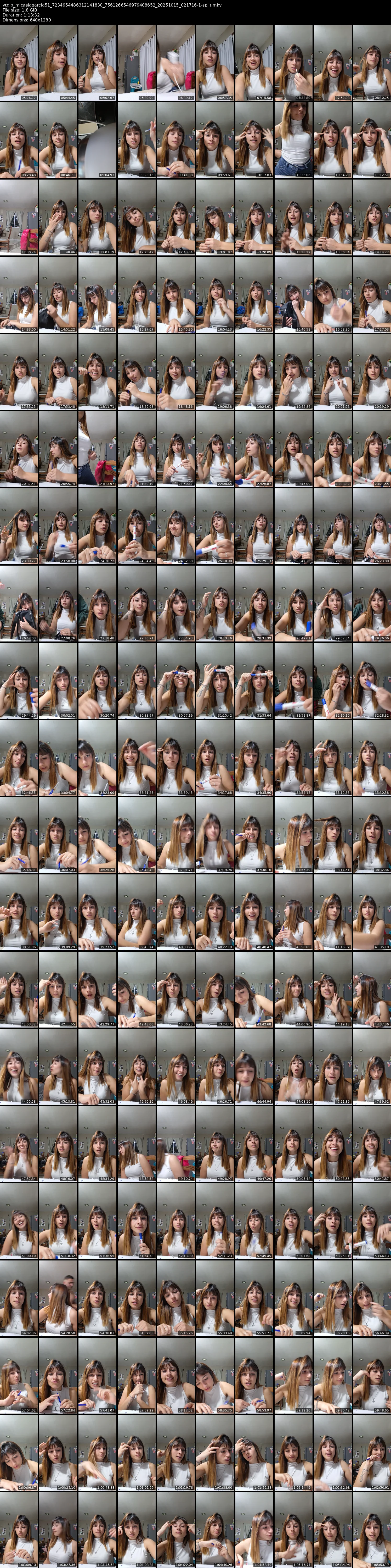 grid_ytdlp_micaelagarcia51_7234954486312141830_7561266546979408652_20251015_021716-1-split.mkv.webp