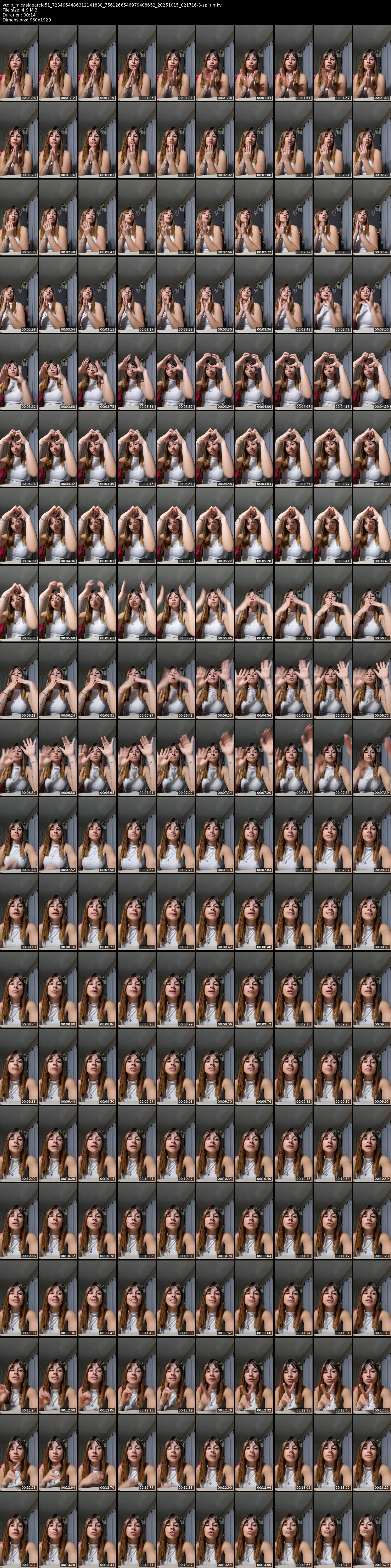 grid_ytdlp_micaelagarcia51_7234954486312141830_7561266546979408652_20251015_021716-3-split.mkv.webp