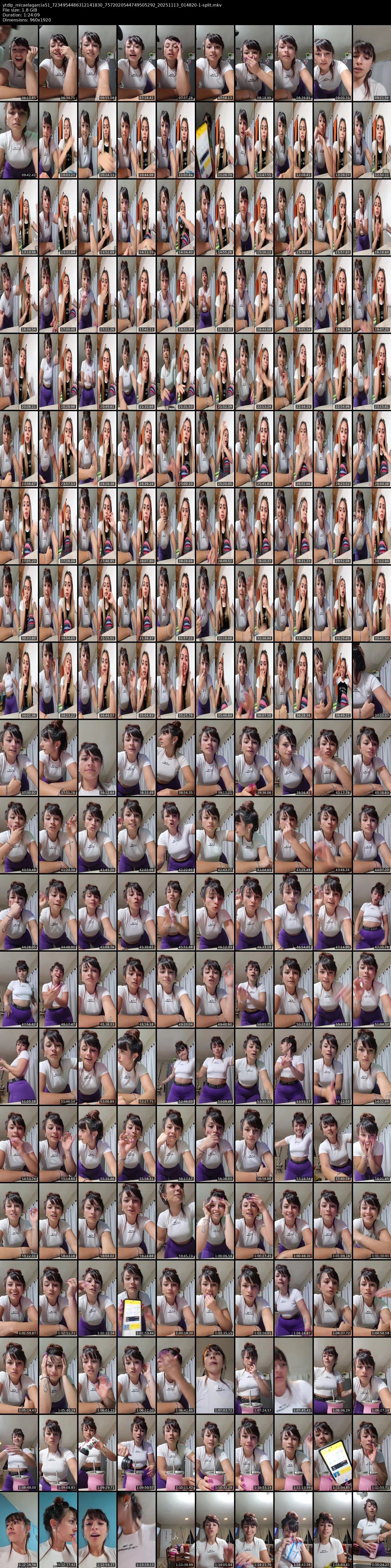 grid_ytdlp_micaelagarcia51_7234954486312141830_7572020544749505292_20251113_014820-1-split.mkv.webp