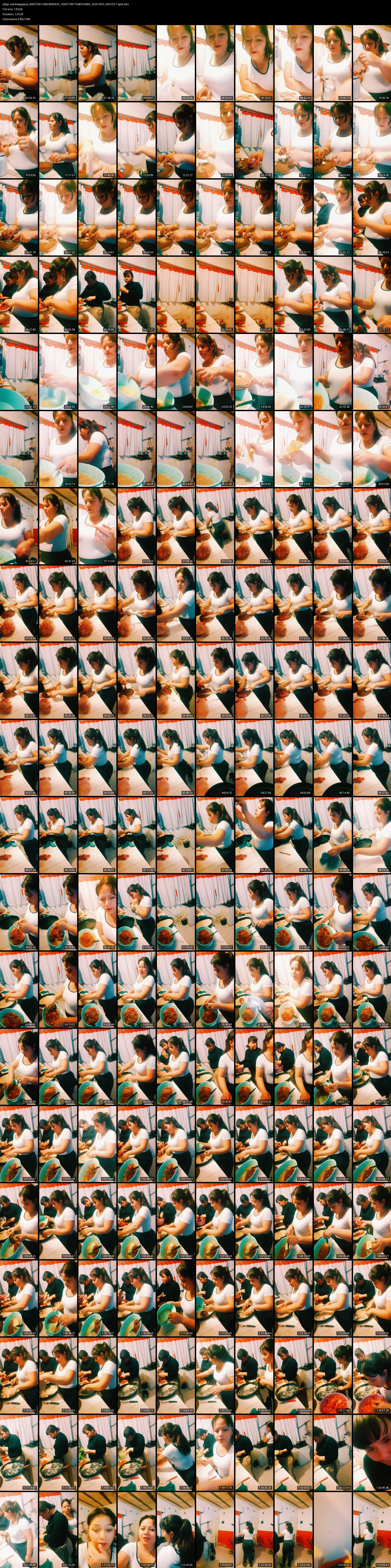 grid_ytdlp_noemisegopvia_6997529124504060933_7556779971948104459_20251003_000703-1-split.mkv.webp