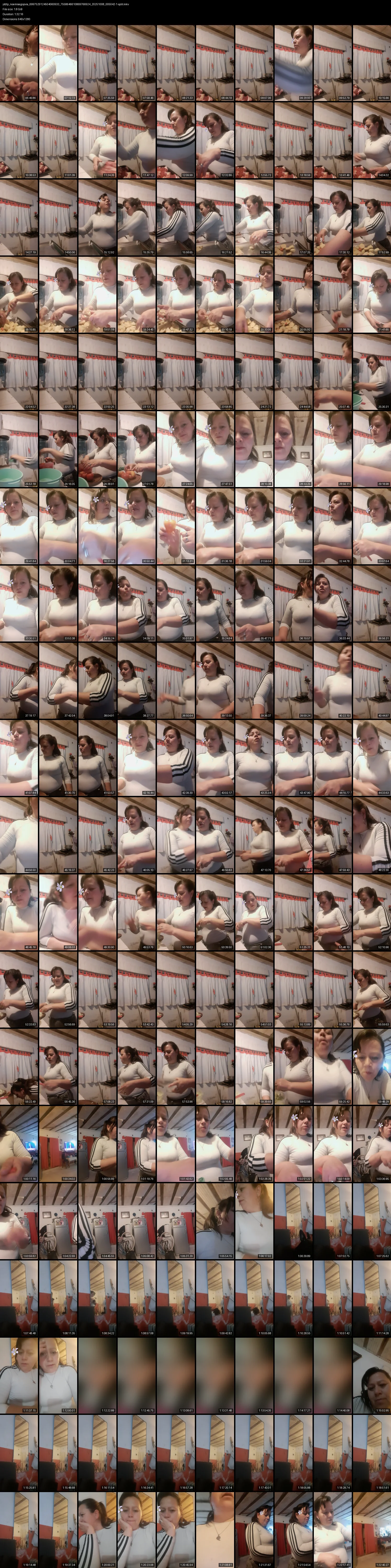 grid_ytdlp_noemisegopvia_6997529124504060933_7558646610869766924_20251008_005042-1-split.mkv.webp