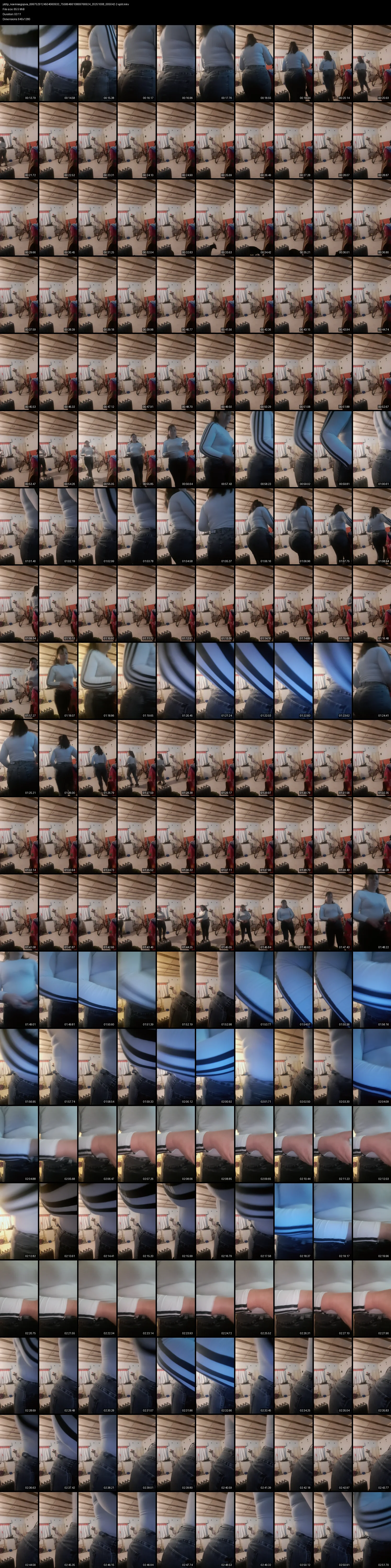 grid_ytdlp_noemisegopvia_6997529124504060933_7558646610869766924_20251008_005042-2-split.mkv.webp