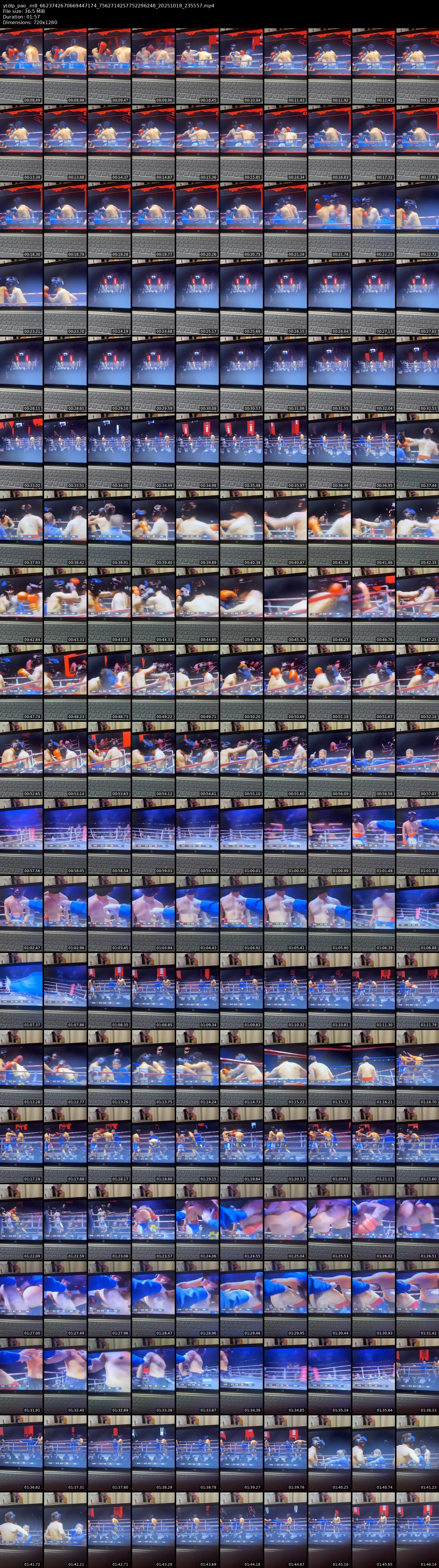 grid_ytdlp_pao_.m8_6623742670669447174_7562714257752296248_20251018_235557.mp4.webp